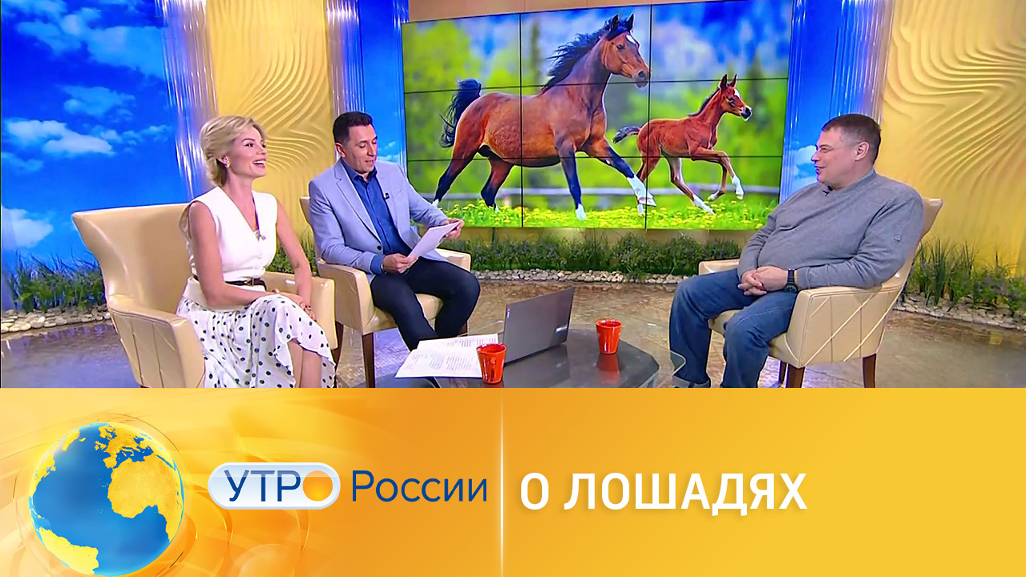 Любопытные факты о лошадях от Ивана Затевахина
