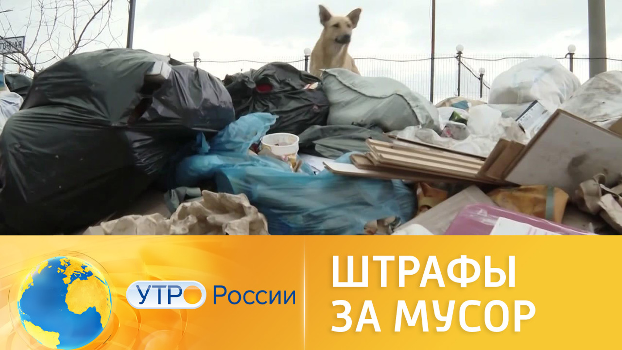 Штрафы за мусор из окна авто: как будут вычислять нарушителей