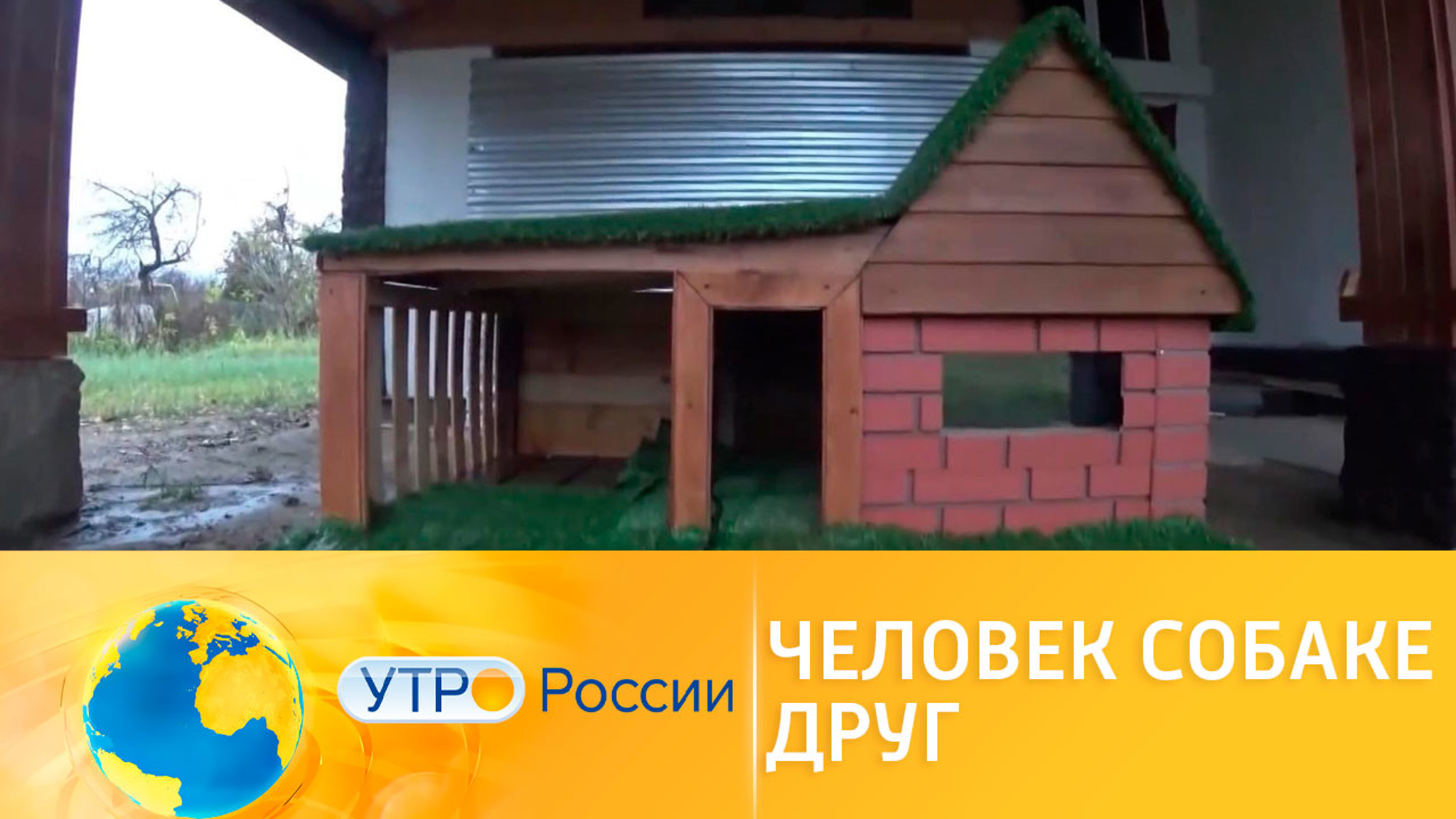 Не просто будка: удивительное жилье для домашних любимцев