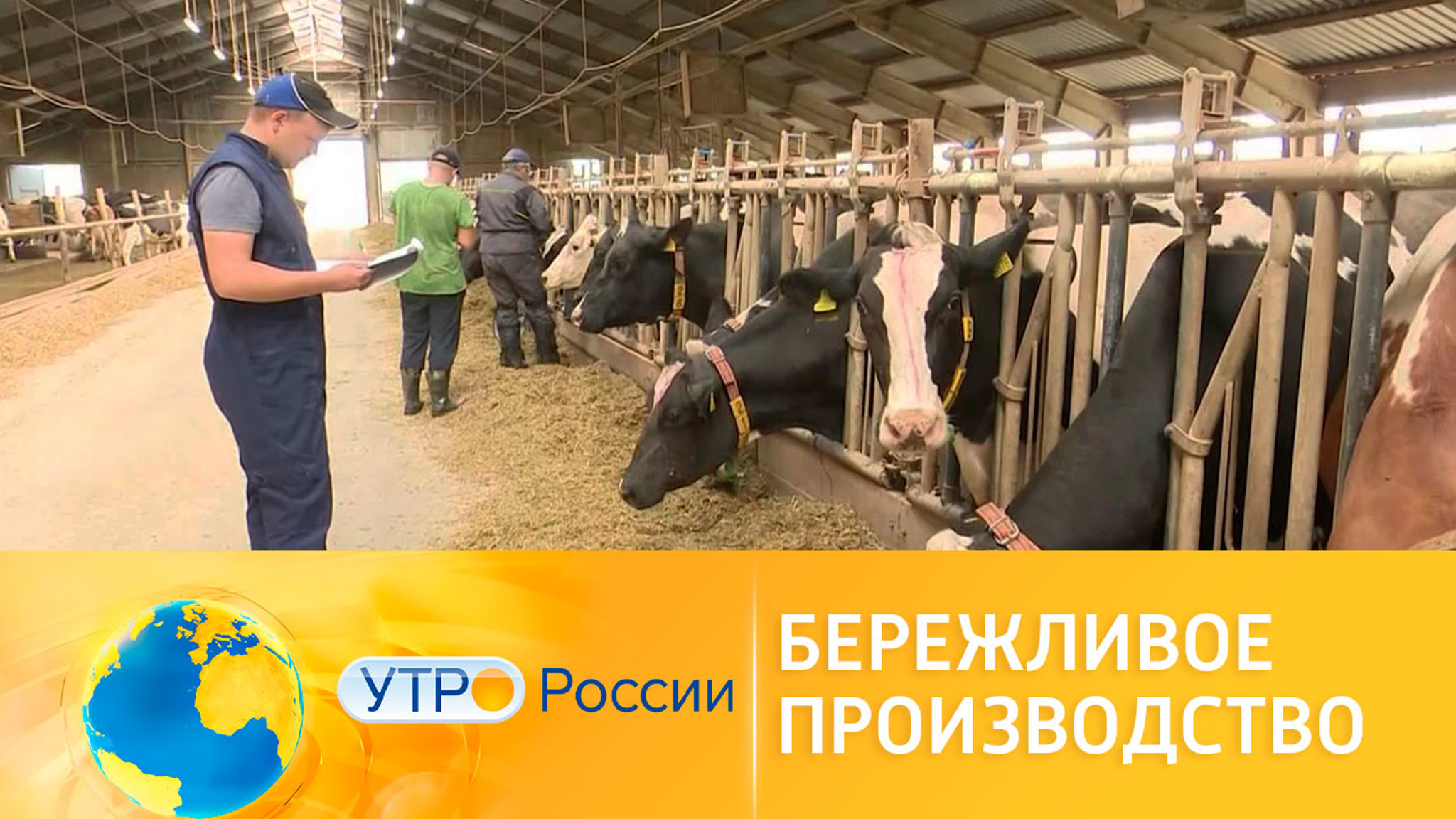 Национальный проект "Производительность труда и поддержка занятости"