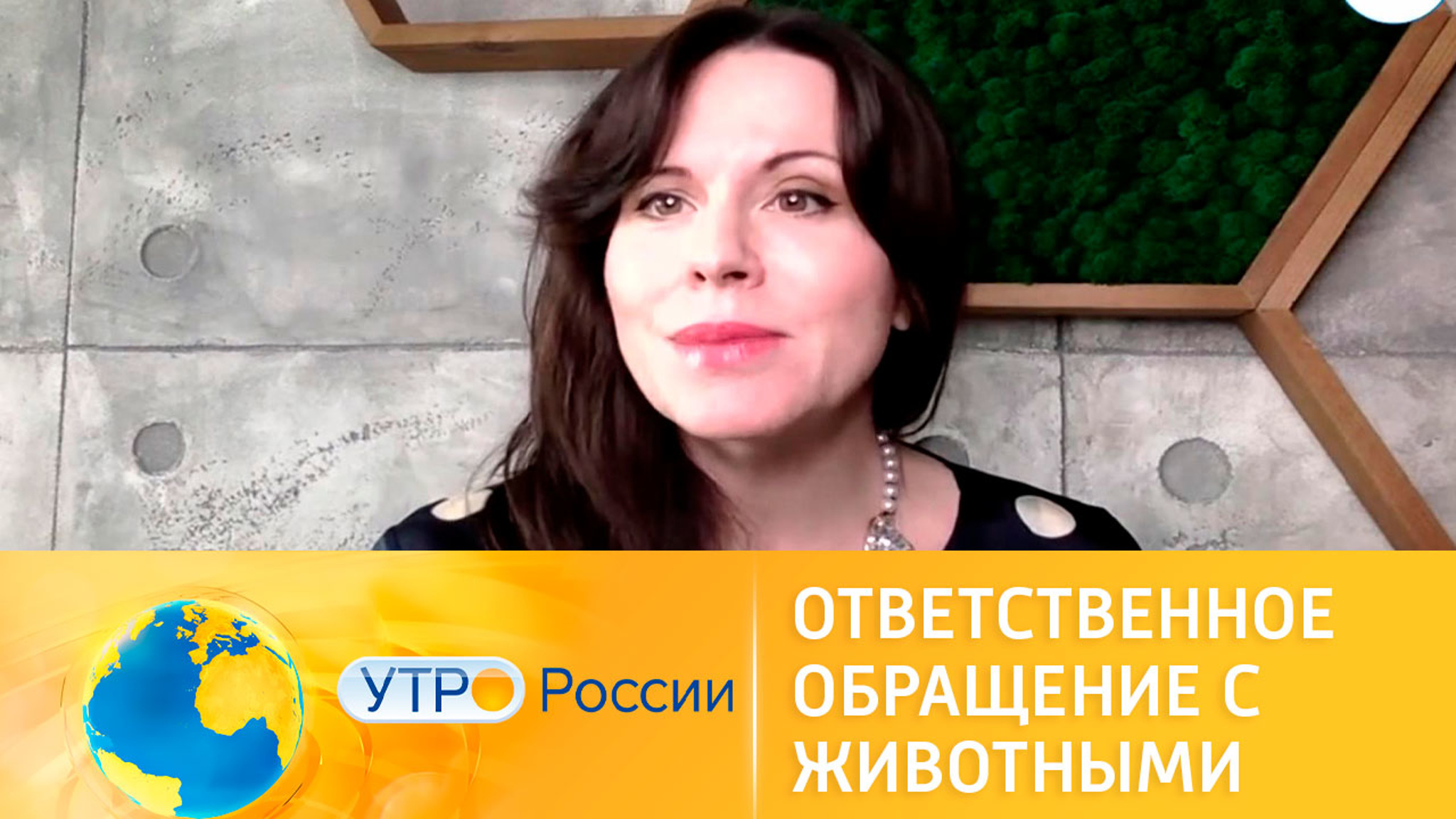 Регионам предлагают дать право устанавливать свои правила выгула собак