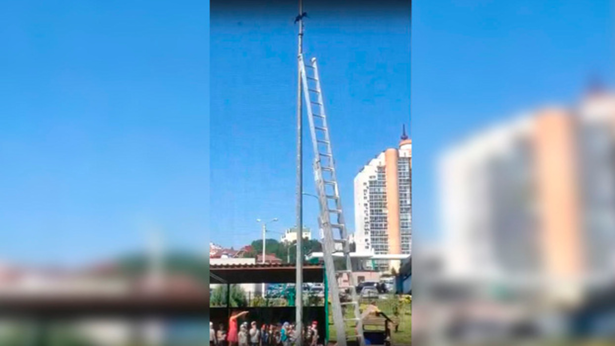 В воронежском детсаду развернули операцию по спасению застрявшей на фонаре птицы