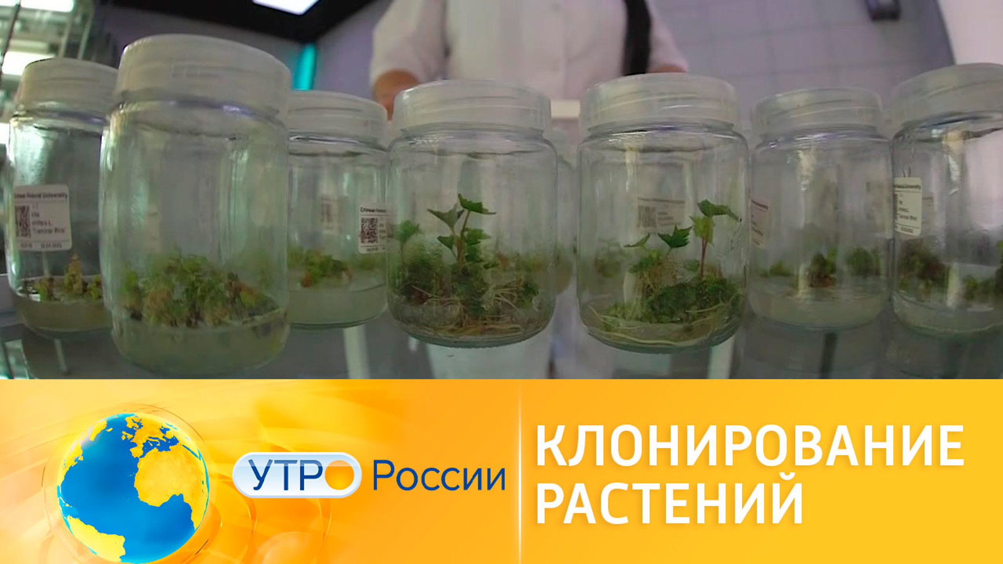 Лаборатория для клонирования растений появилась в Крыму