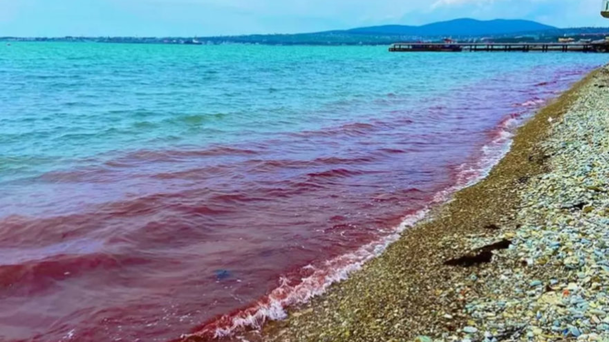 Вода в Черном море стала красной из-за особых водорослей