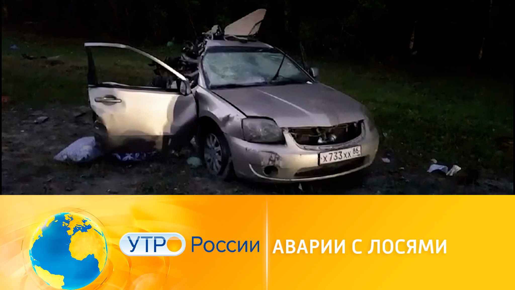 Печальные последствия аварий с лосями