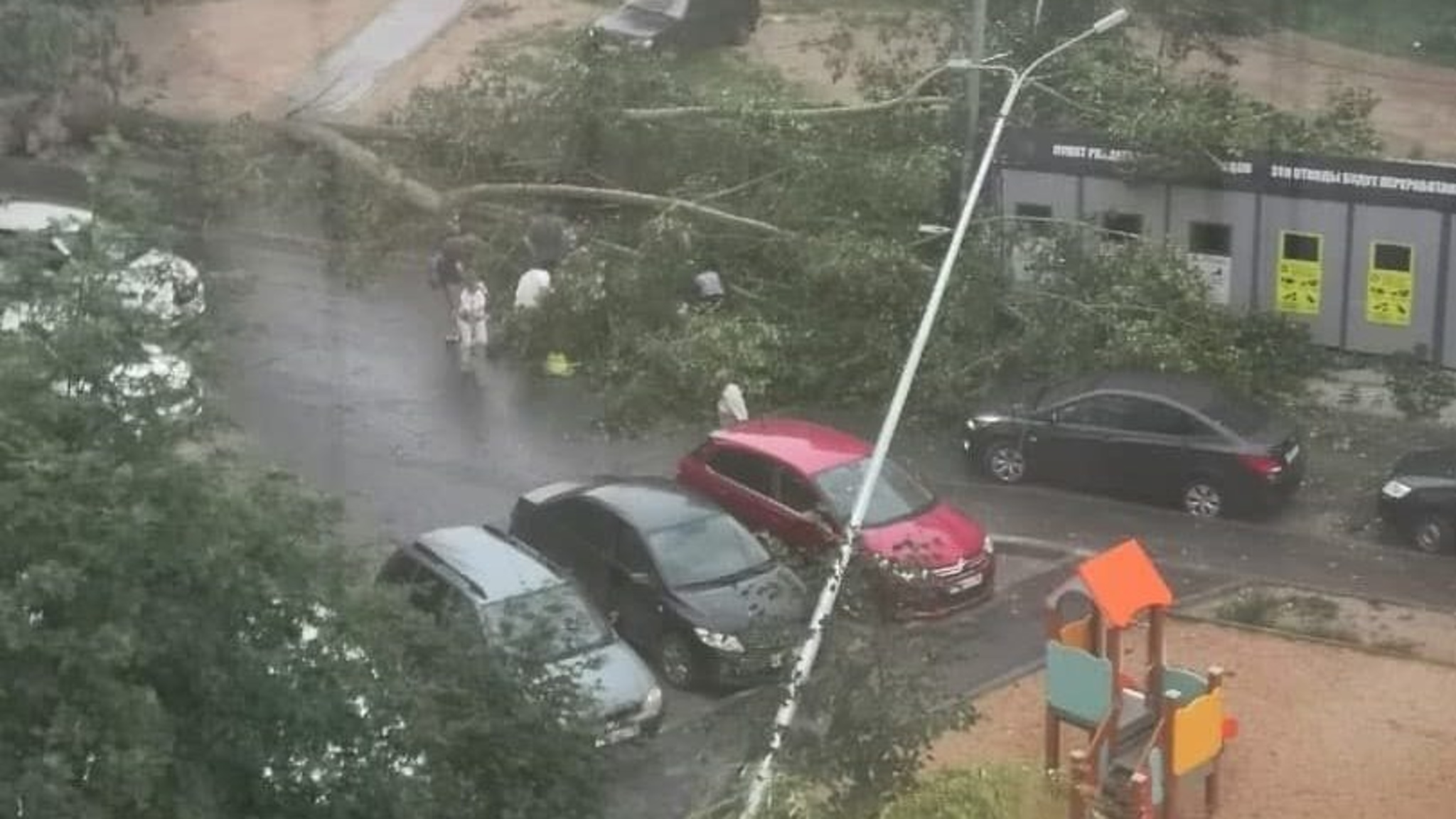 В Казани падении дерева из-за ветра пострадали три человека