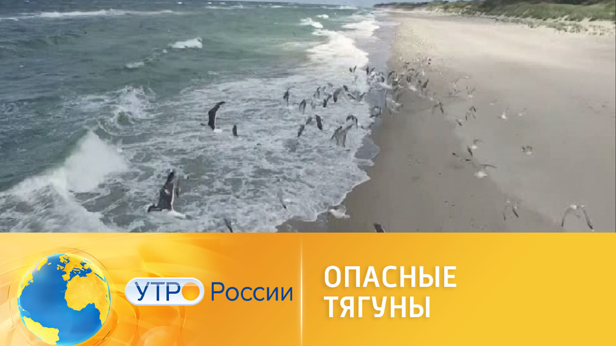 Опасные течения: как не пострадать отдыхающим на море