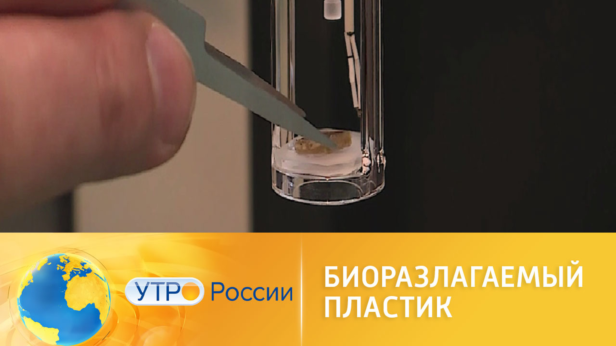 Как делают биоразлагаемый пластик