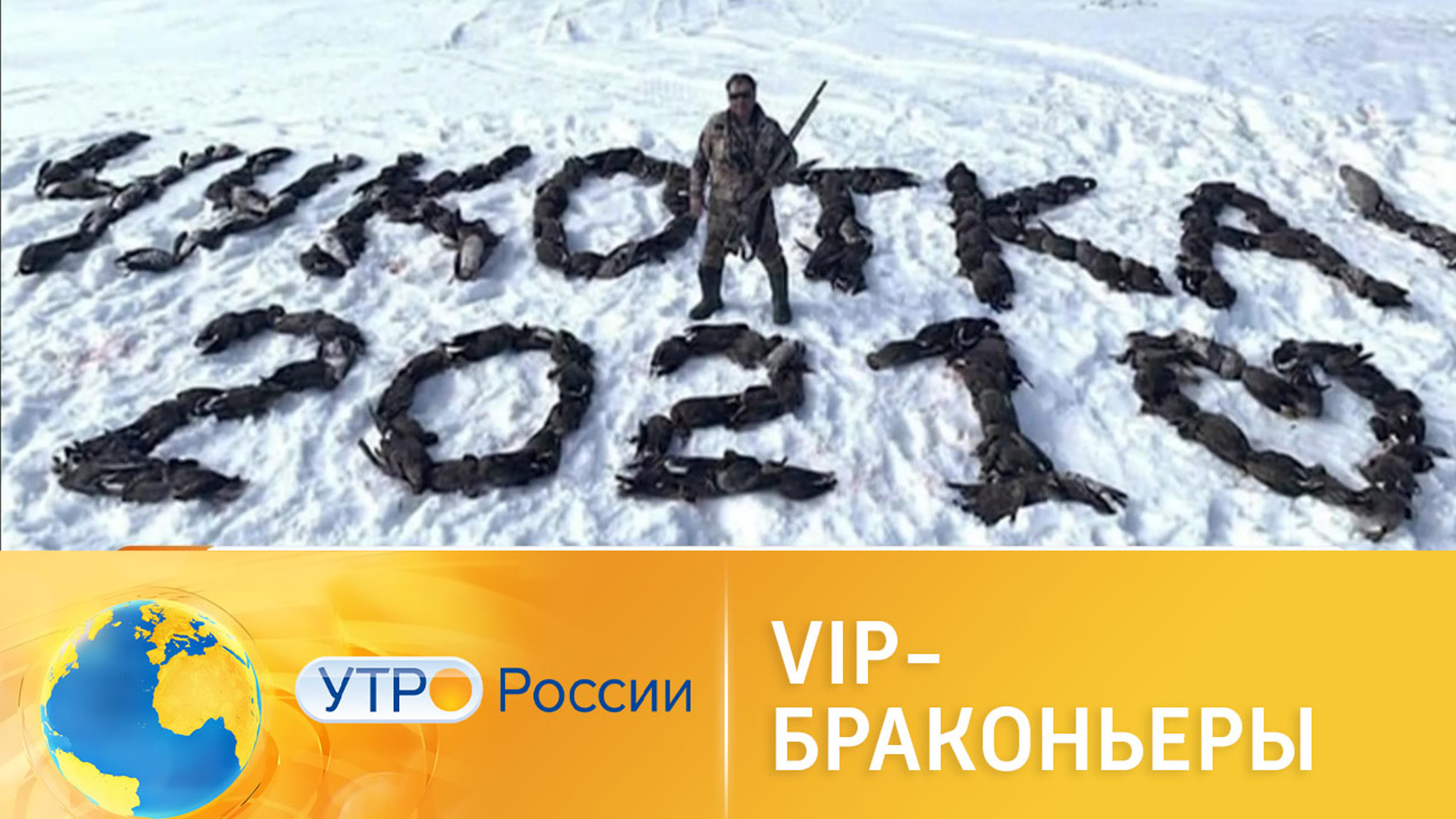 Наказания для VIP-браконьеров