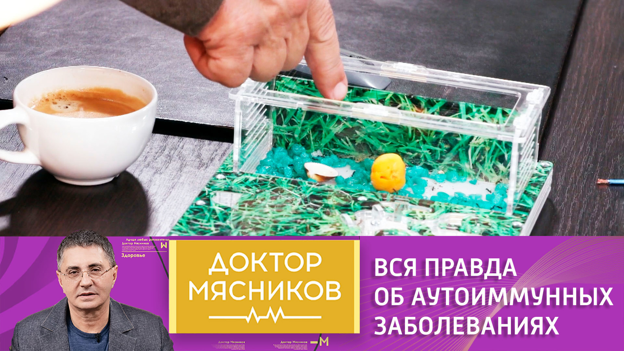 Мясников: "Если у вас есть одно аутоиммунное заболевание – ищите другое"