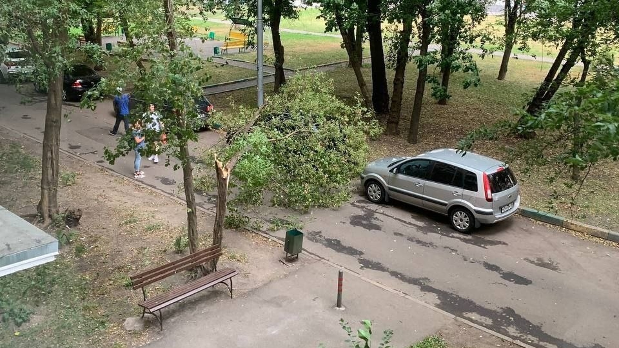 МЧС предупредило москвичей о сильном ветре до 20 метров в секунду