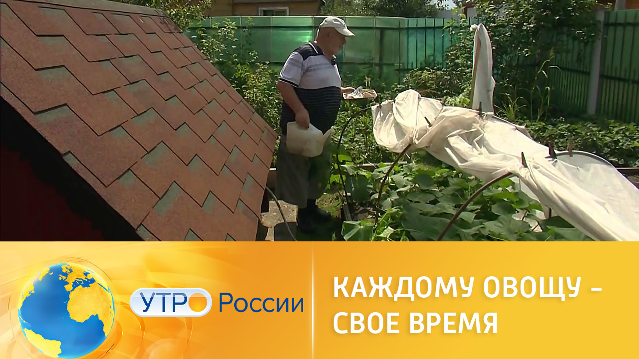Поздние посадки: каждому овощу – свое время