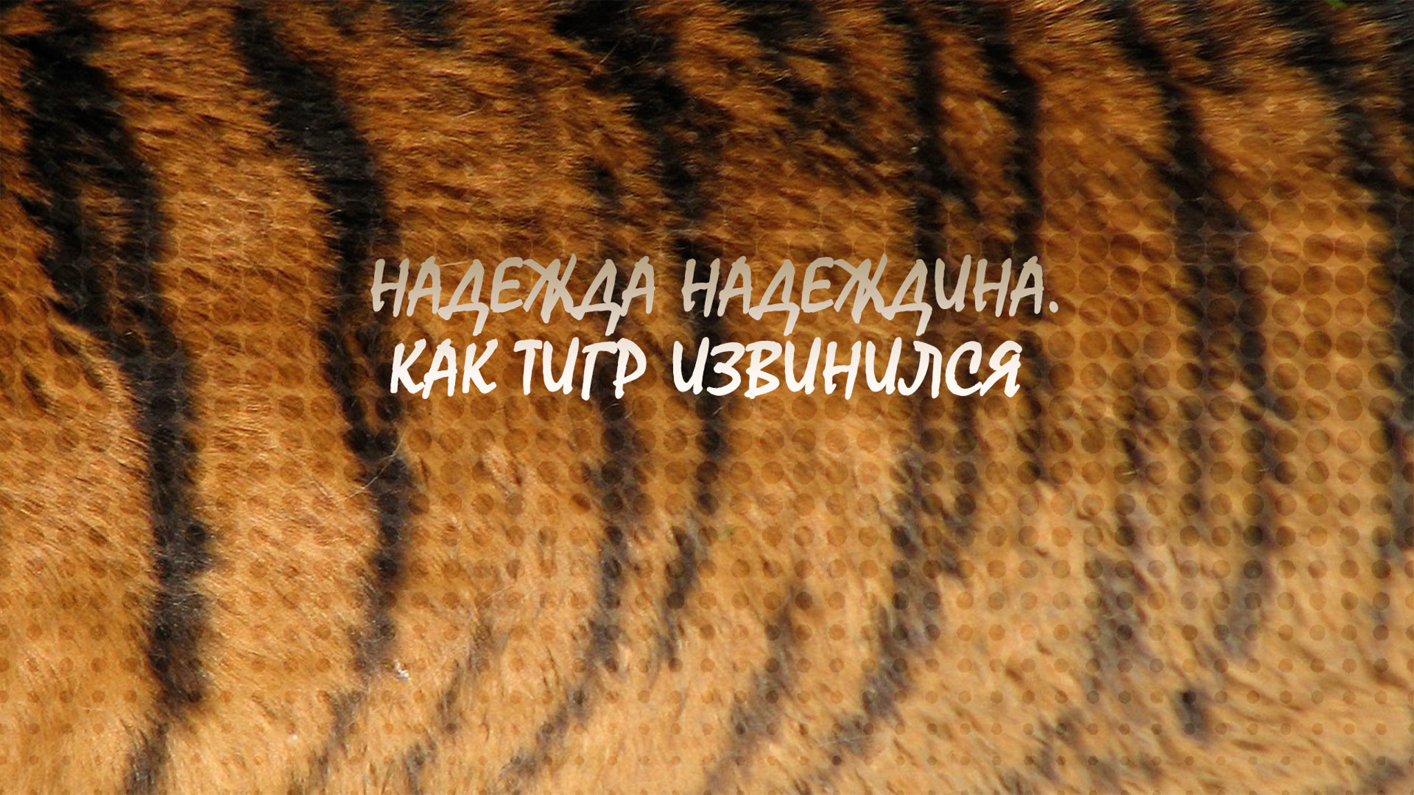 Надежда Надеждина. Как тигр извинился
