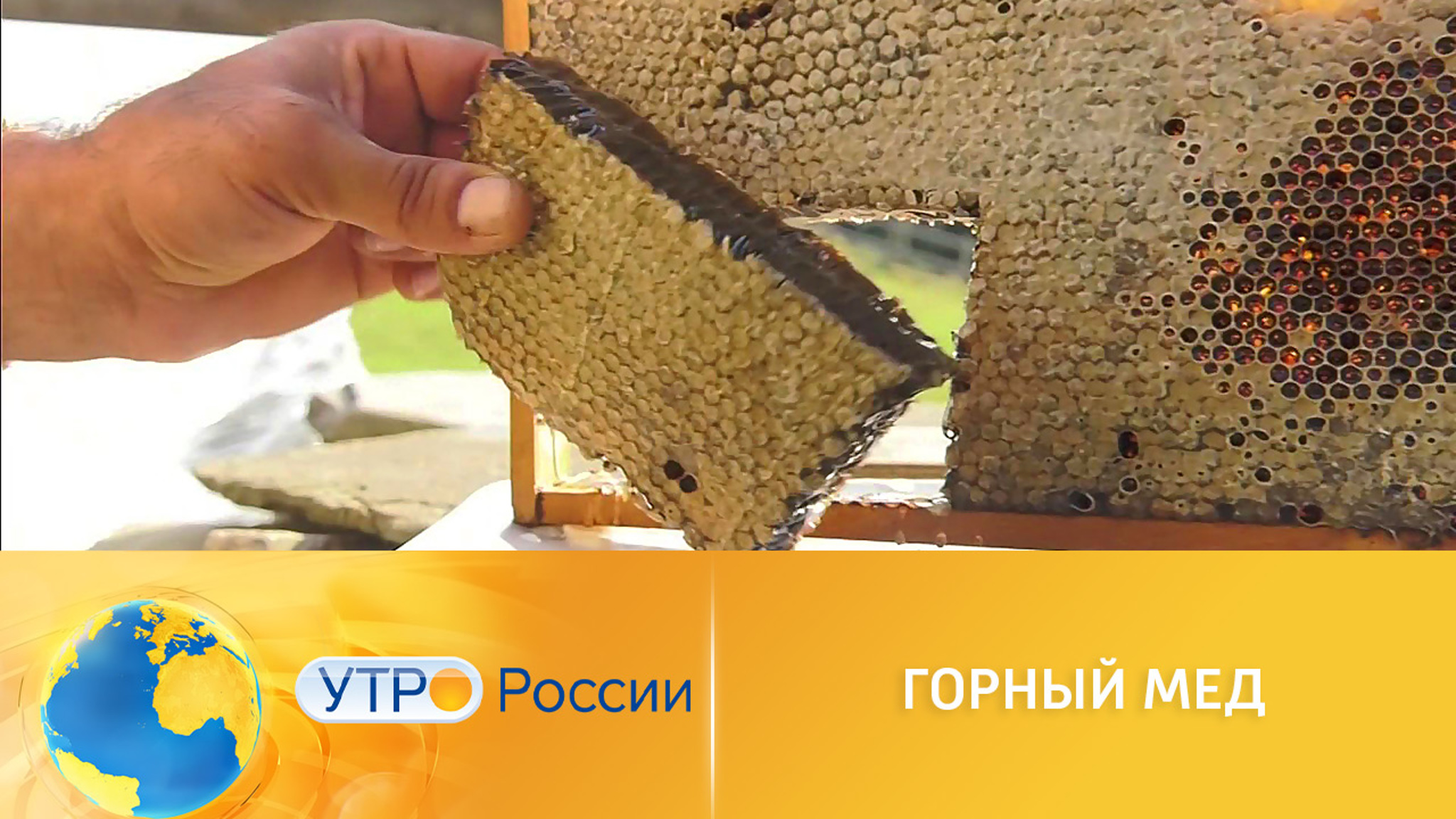 Начался сезон сбора горного меда