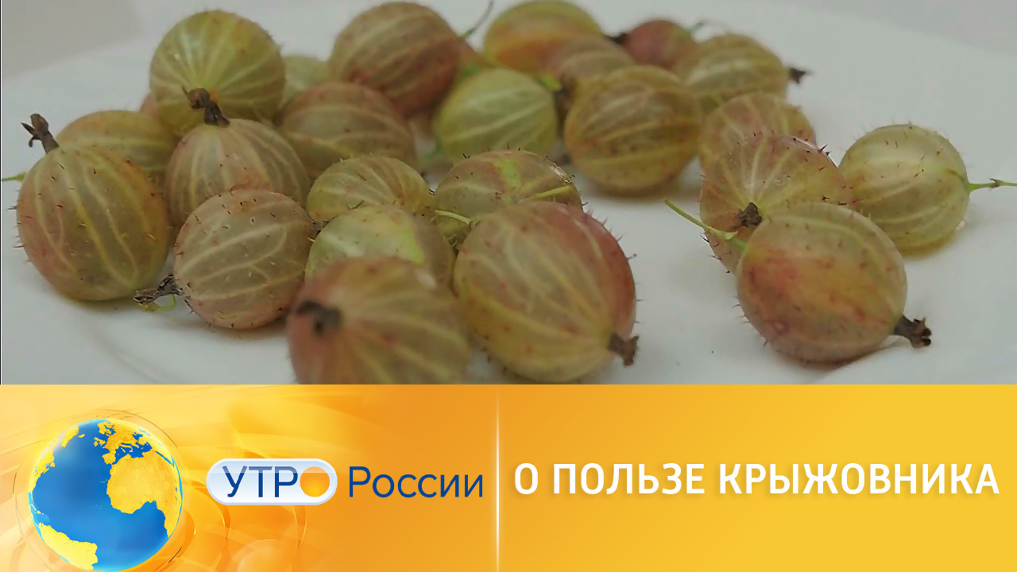 Чем полезен крыжовник для здоровья