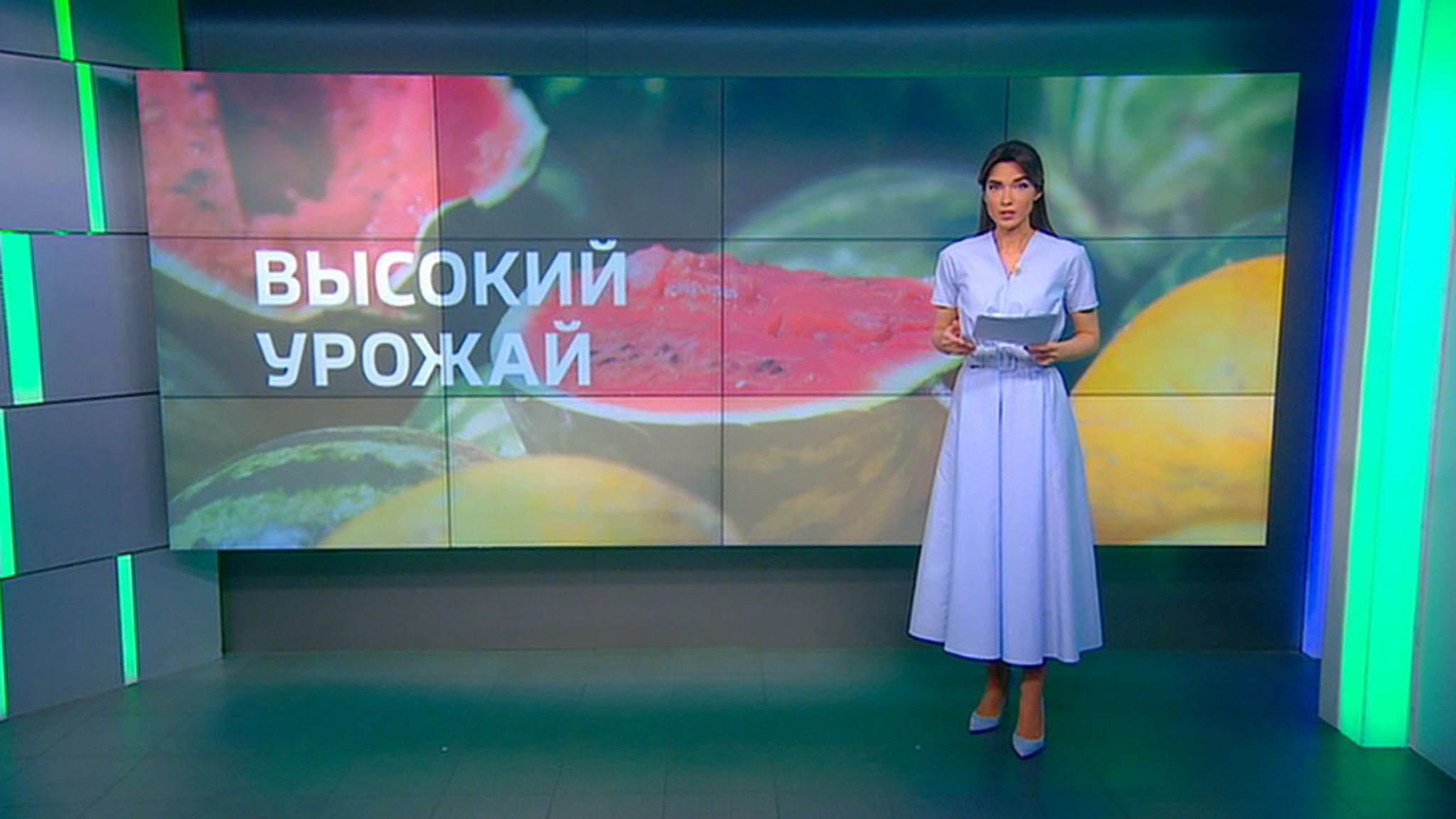 Минсельхоз прогнозирует рост урожая арбузов и дынь
