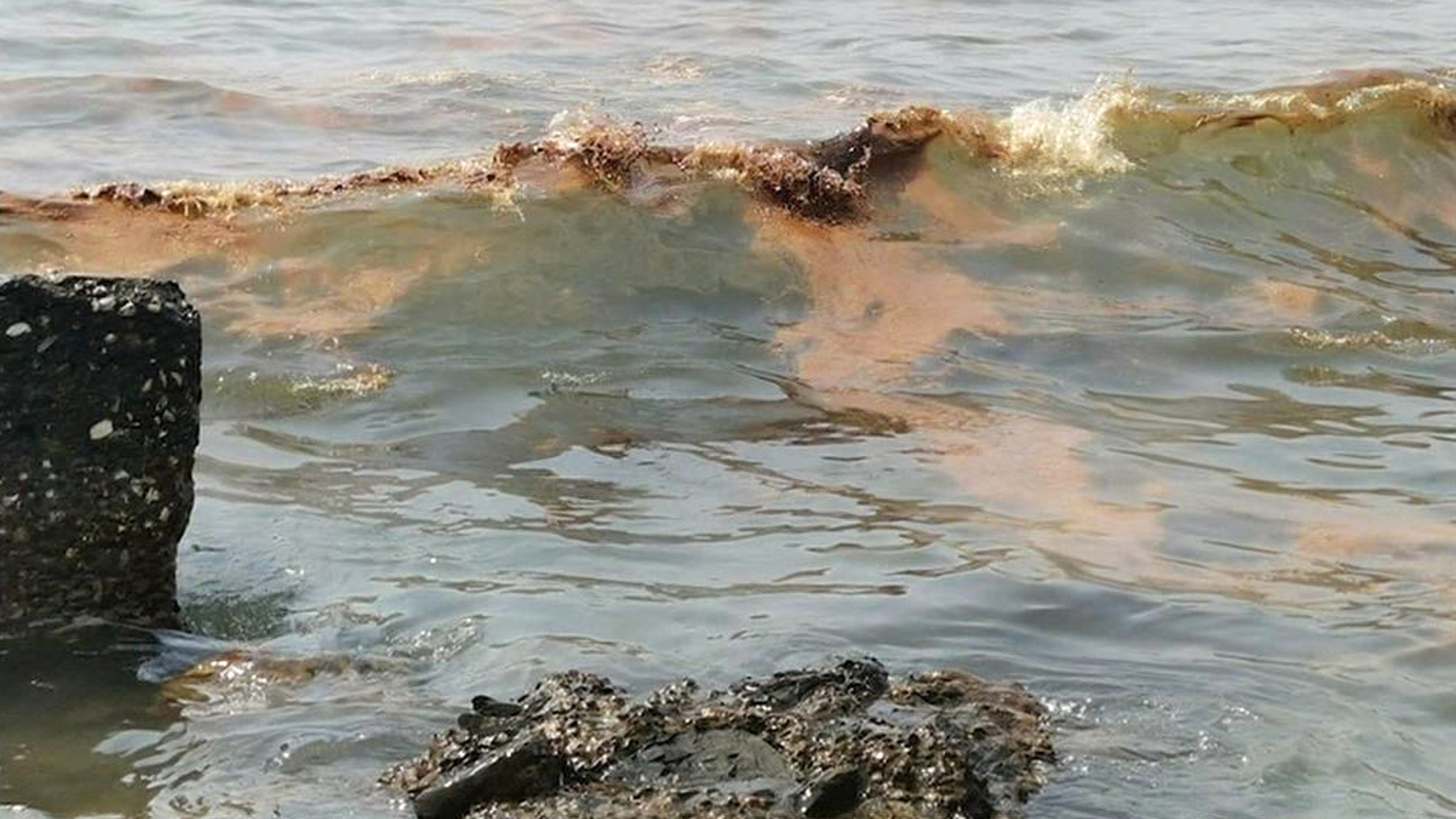 ЧП у берегов Новороссийска: инцидентом занялась Генпрокуратура