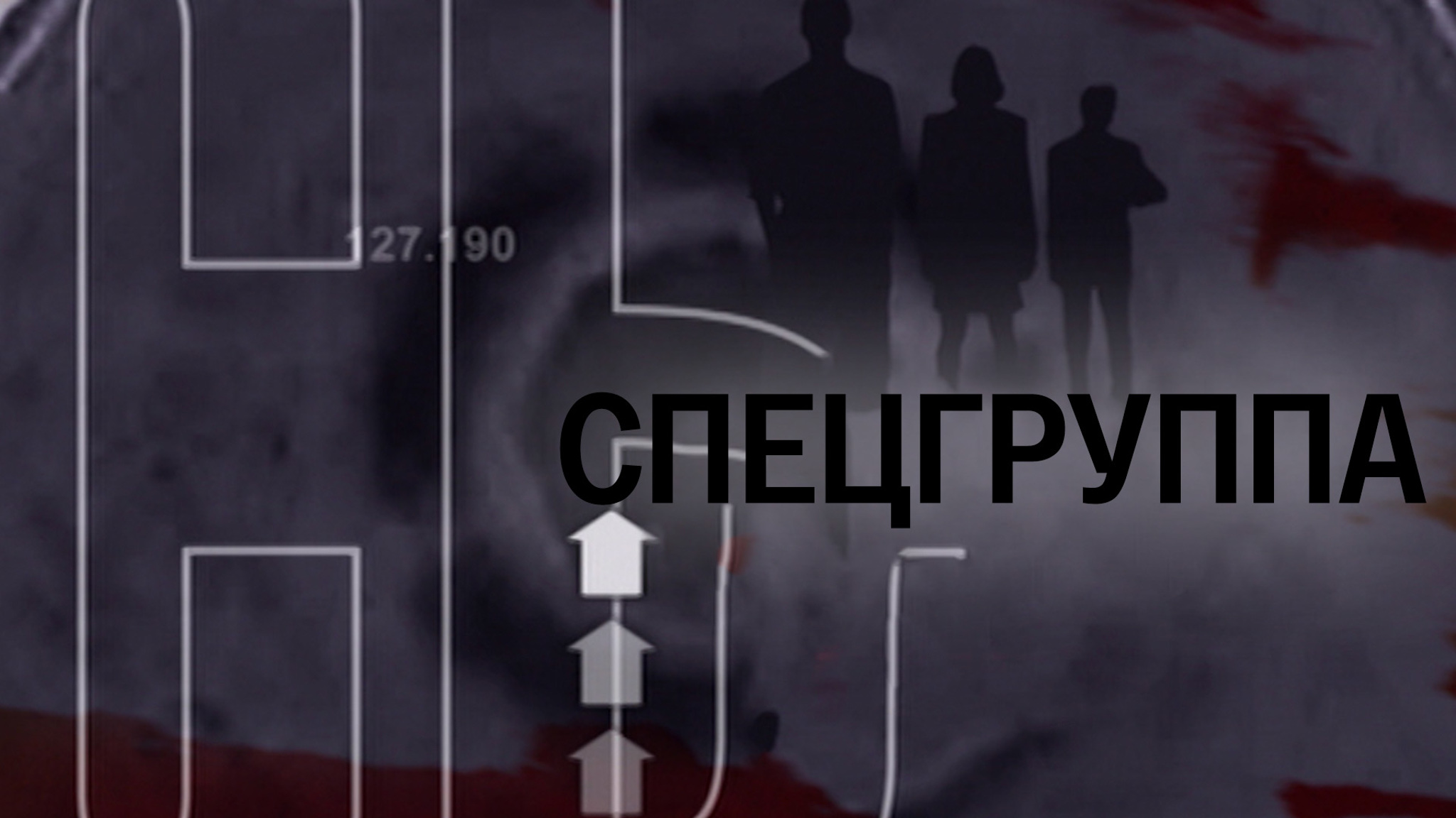 Спецгруппа