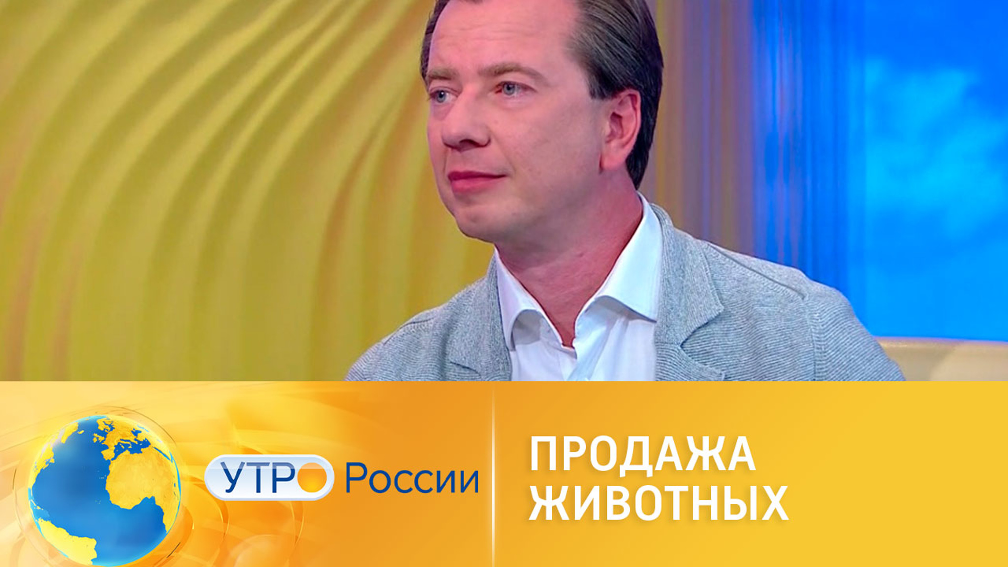 В РФ могут запретить продавать животных в зоомагазинах