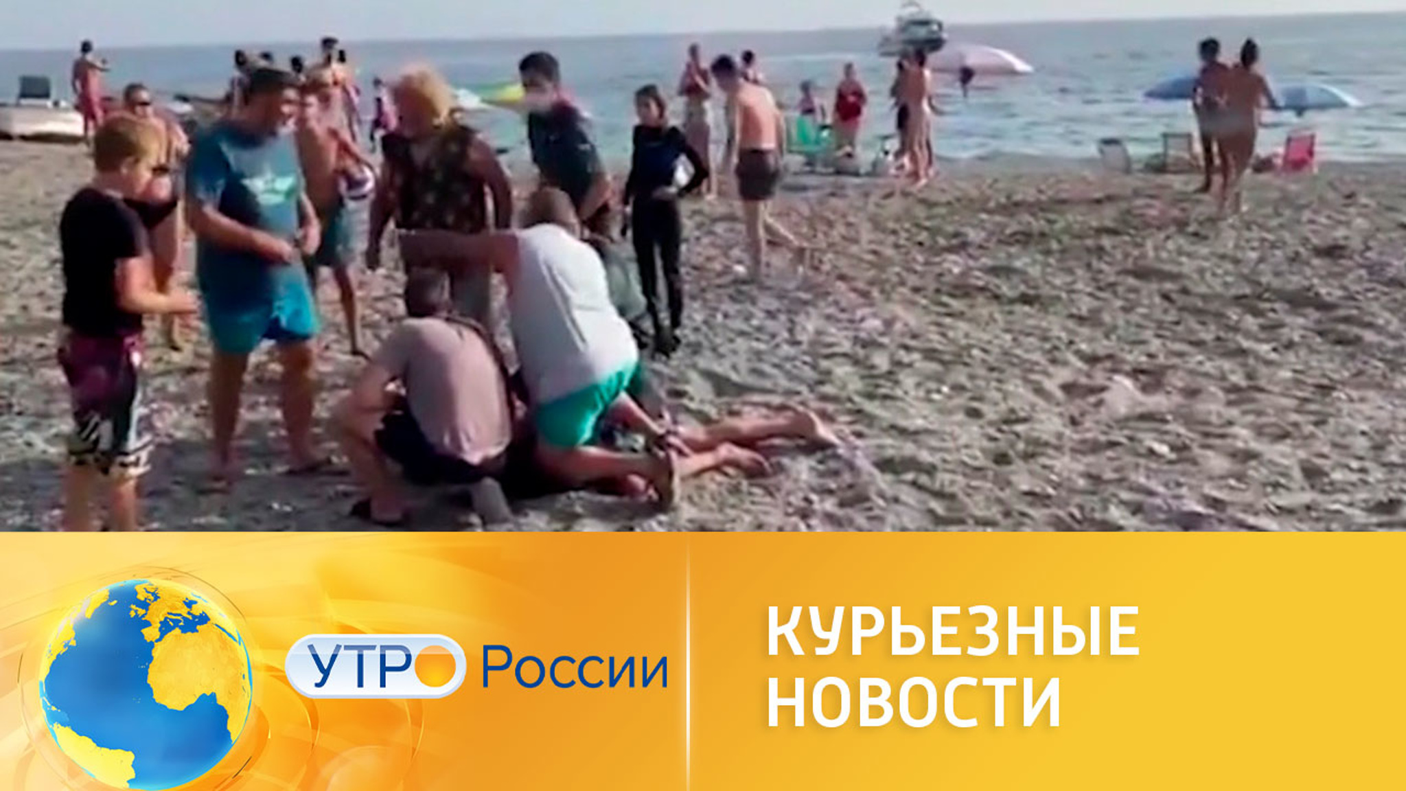 Курьезные новости за неделю