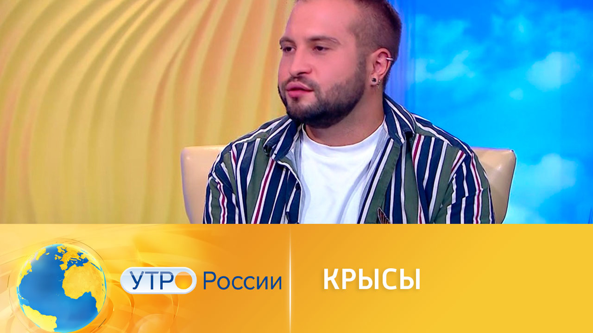 Зоолог рассказал о способностях крыс