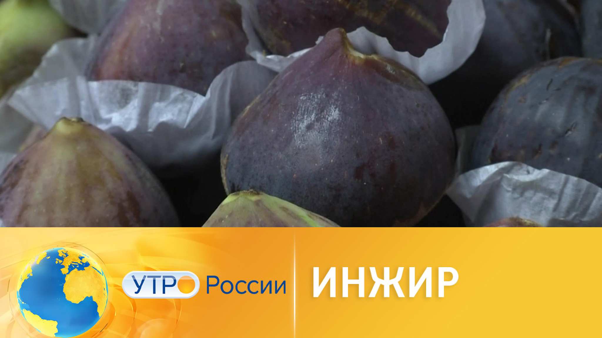 Чем полезен инжир
