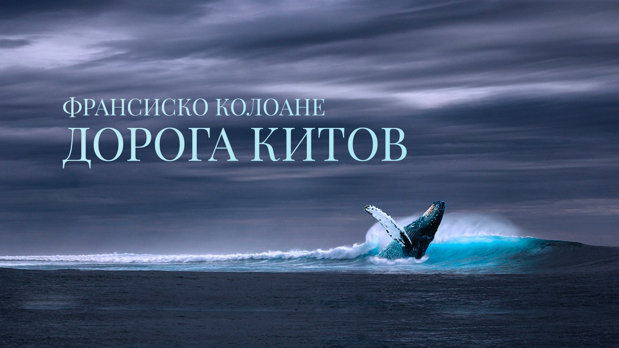 Франсиско Колоане. Дорога китов
