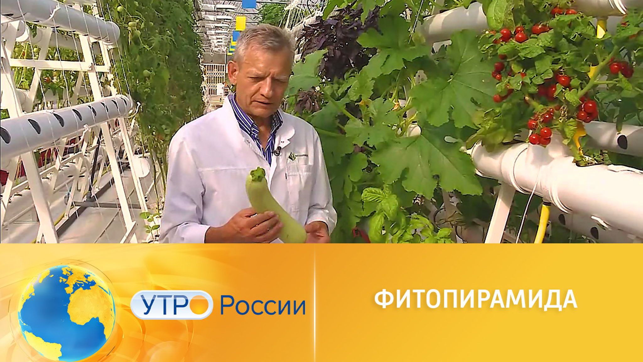 Фитопирамида – инновационная технология