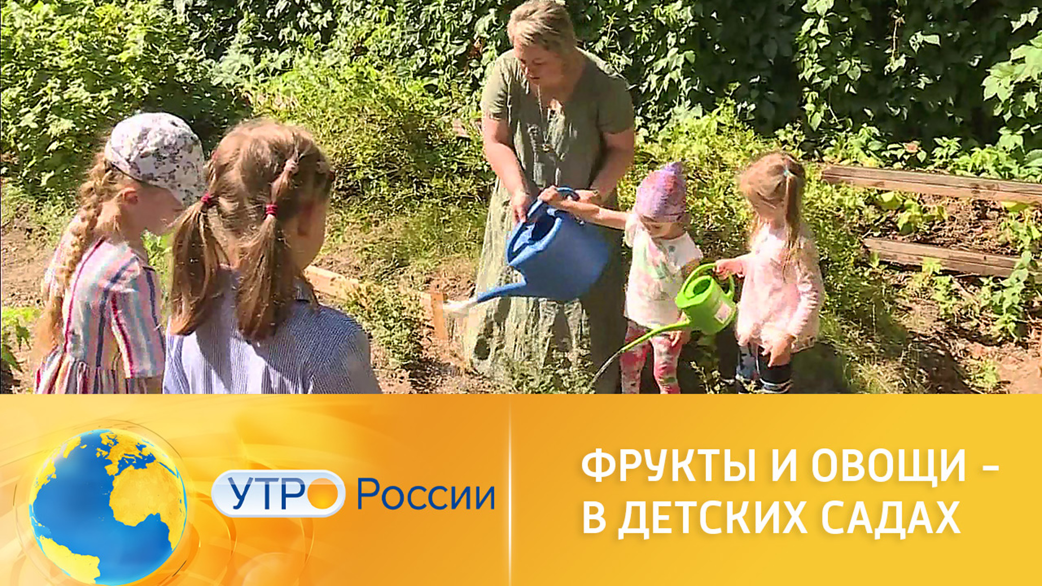 В детских садах выращивают фрукты и овощи