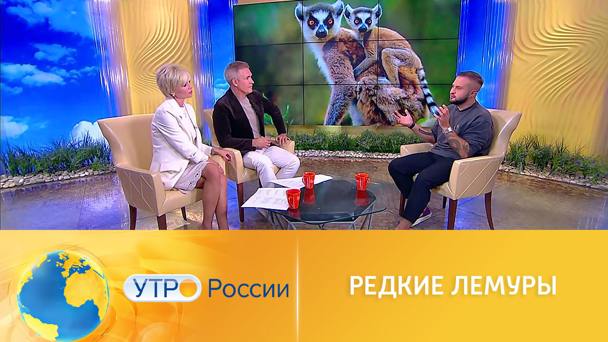 В зоопарке подрастает детеныш редких лемуров