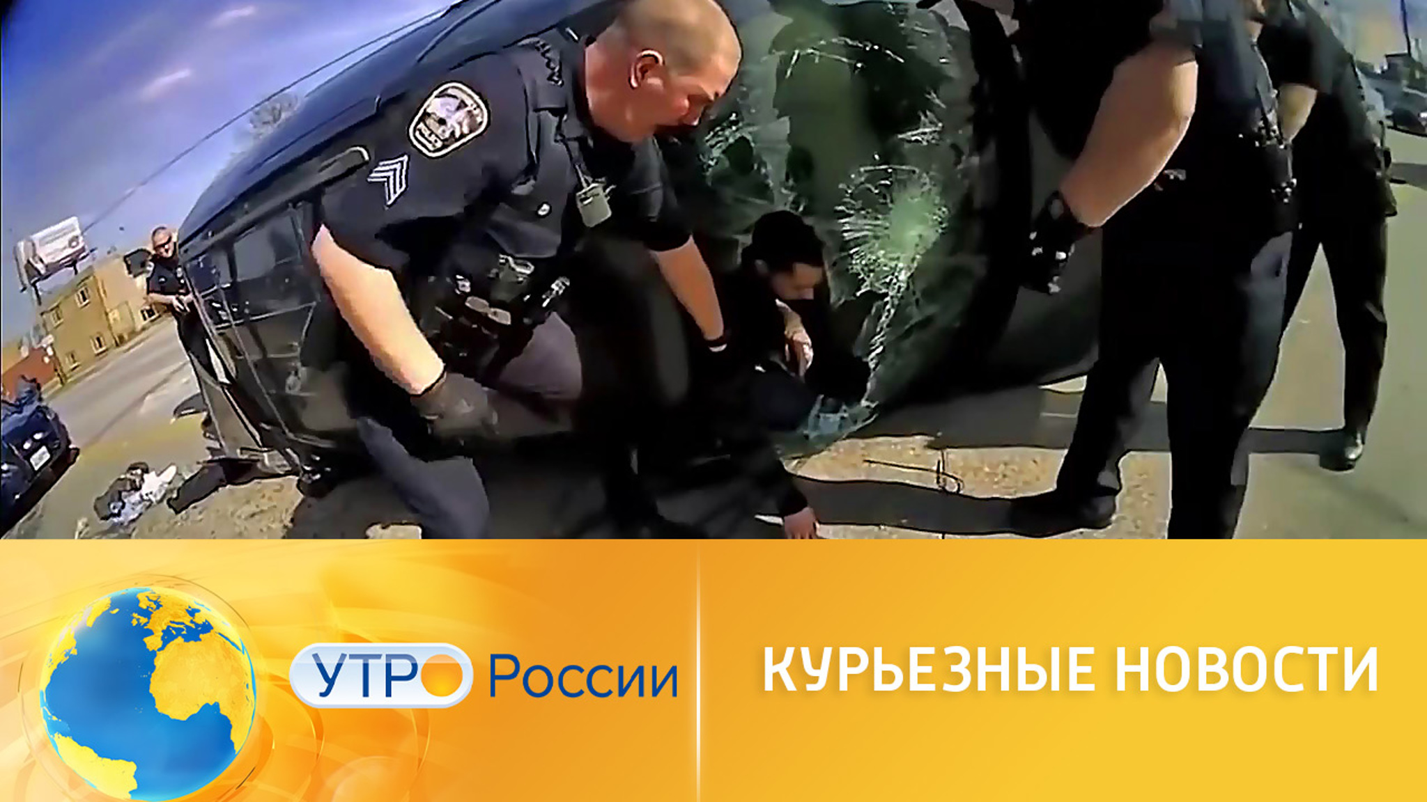 Курьезные новости