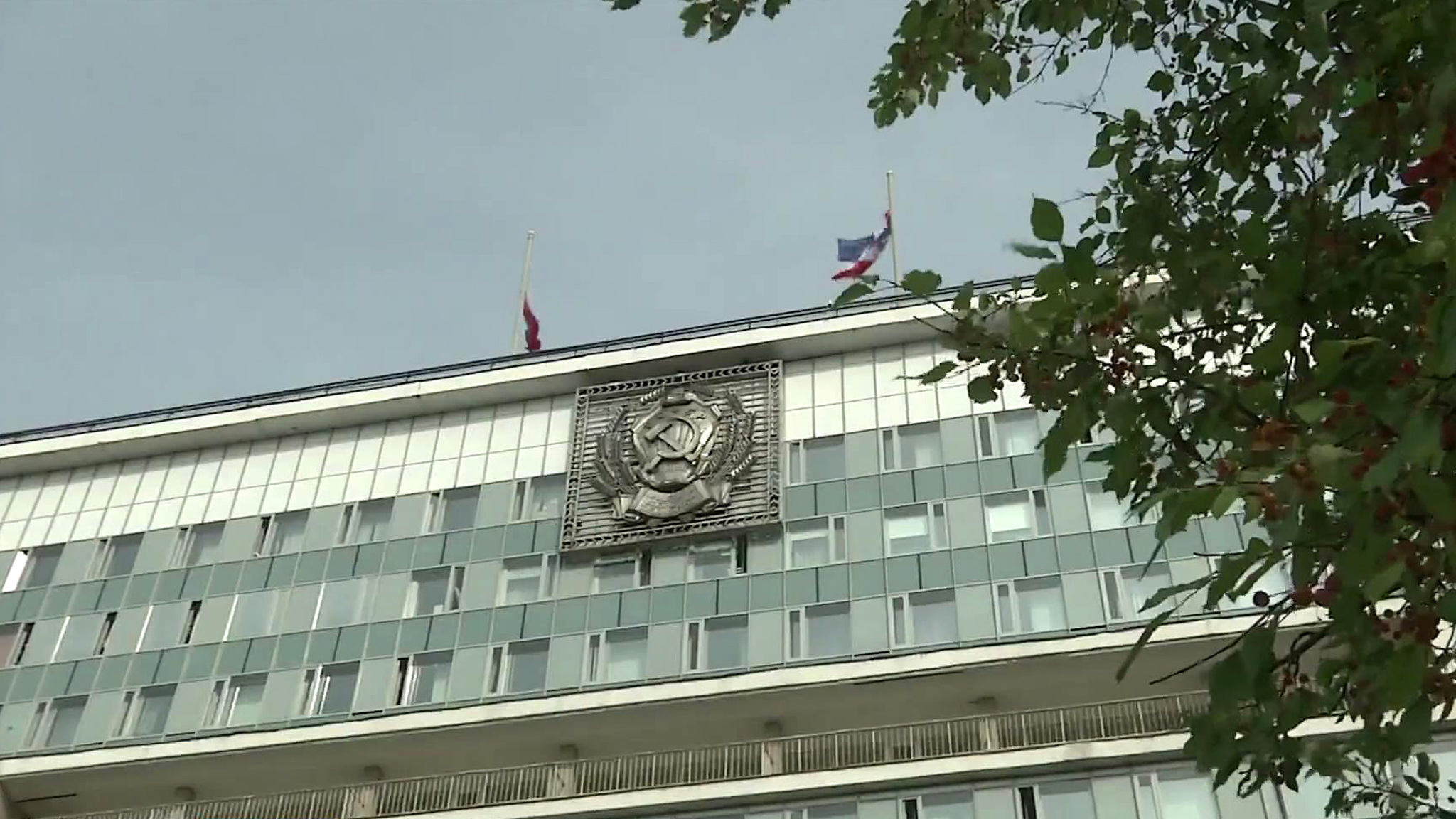 Лекарства для подопечных фонда "Круг добра" поступили в Пермский край
