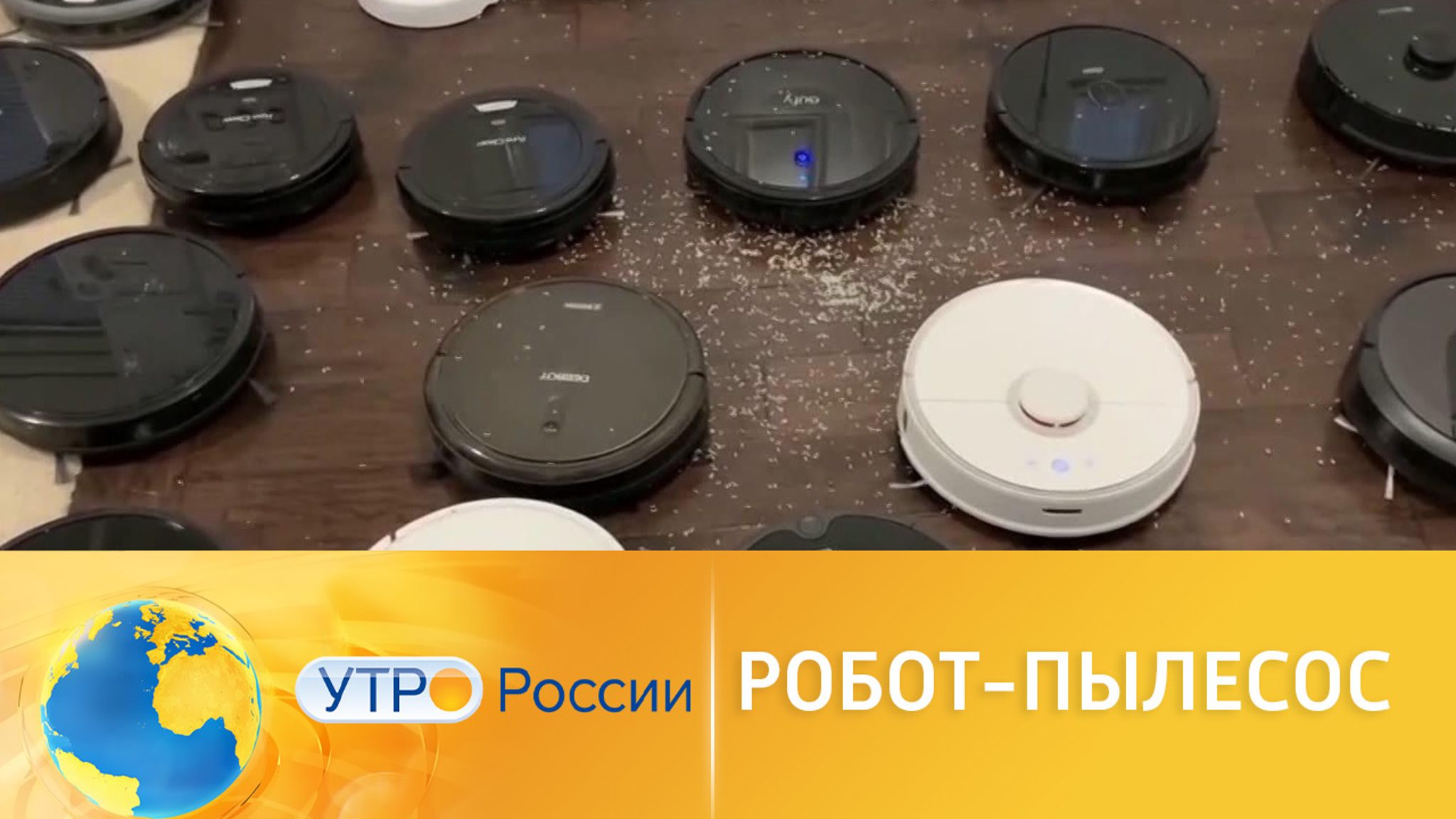 Самые забавные проделки роботов-пылесосов