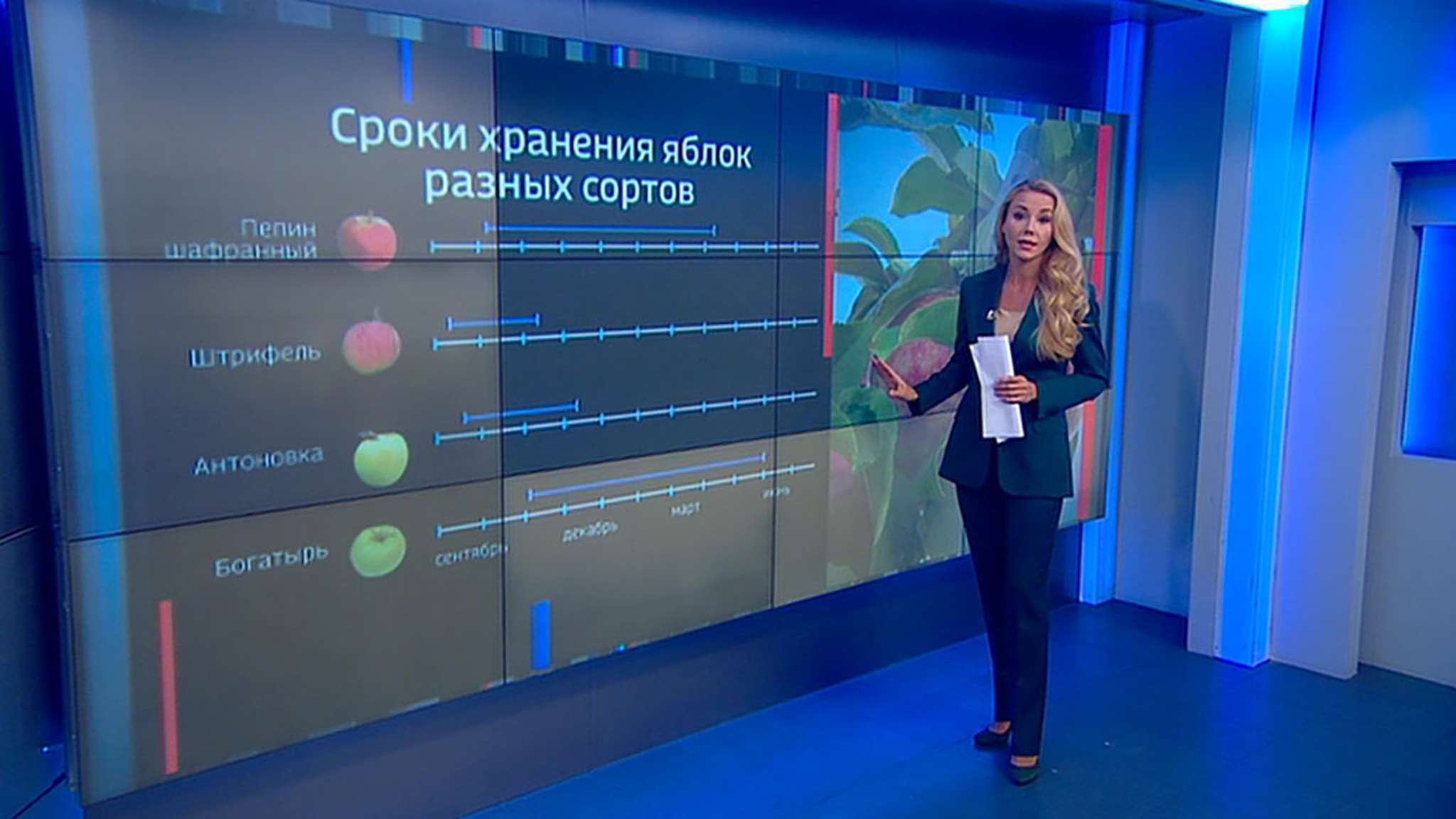 Гниющий урожай: учимся перерабатывать яблоки