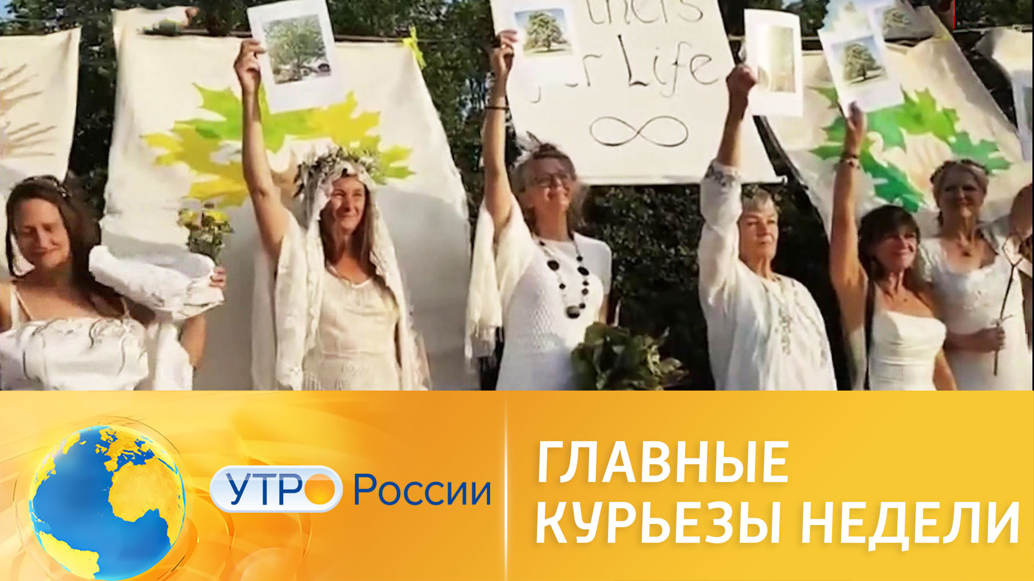 Главные курьезы недели