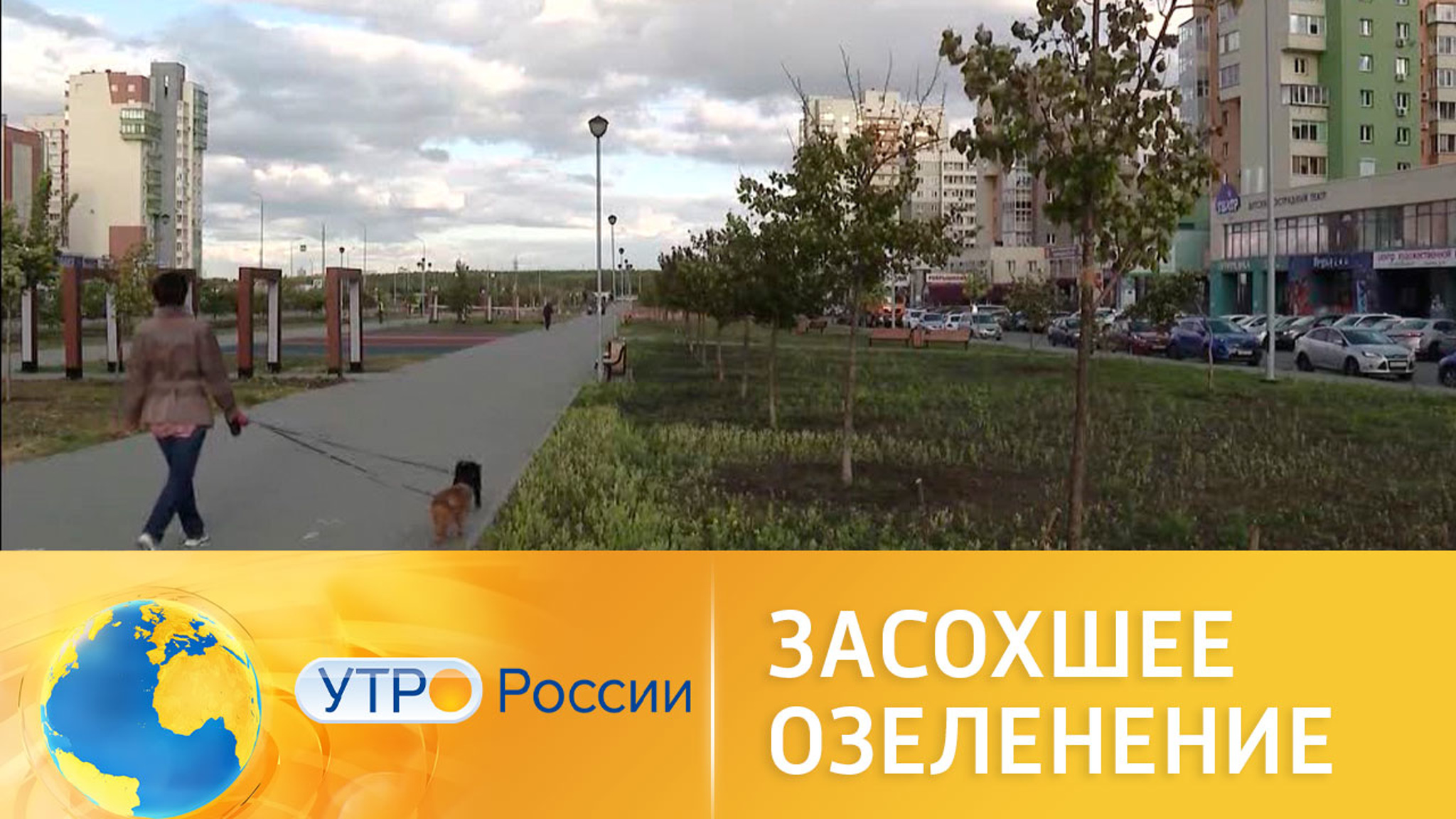 Проблемы озеленения больших городов