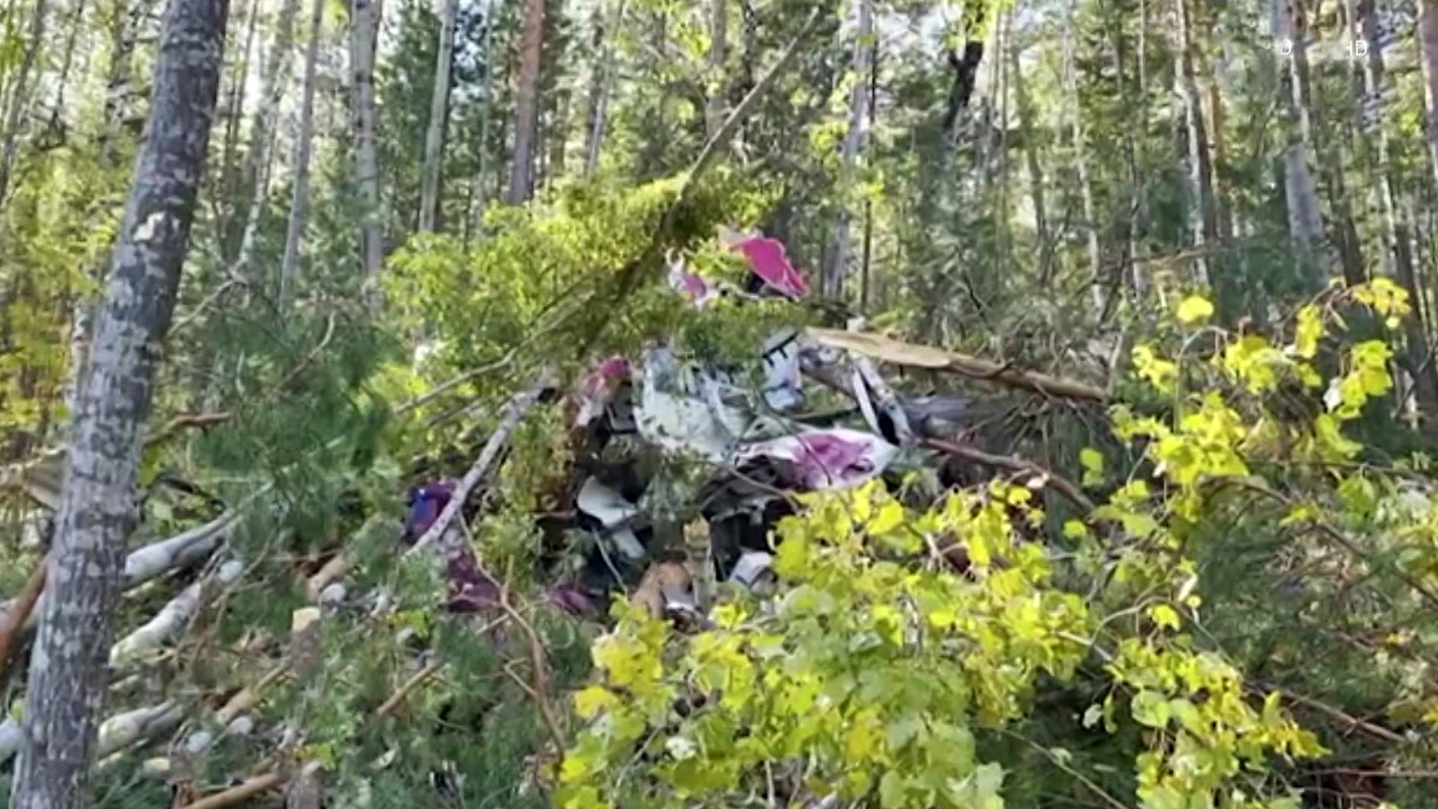 Выживший пилот L-410 рассказал, почему зацепили сопку