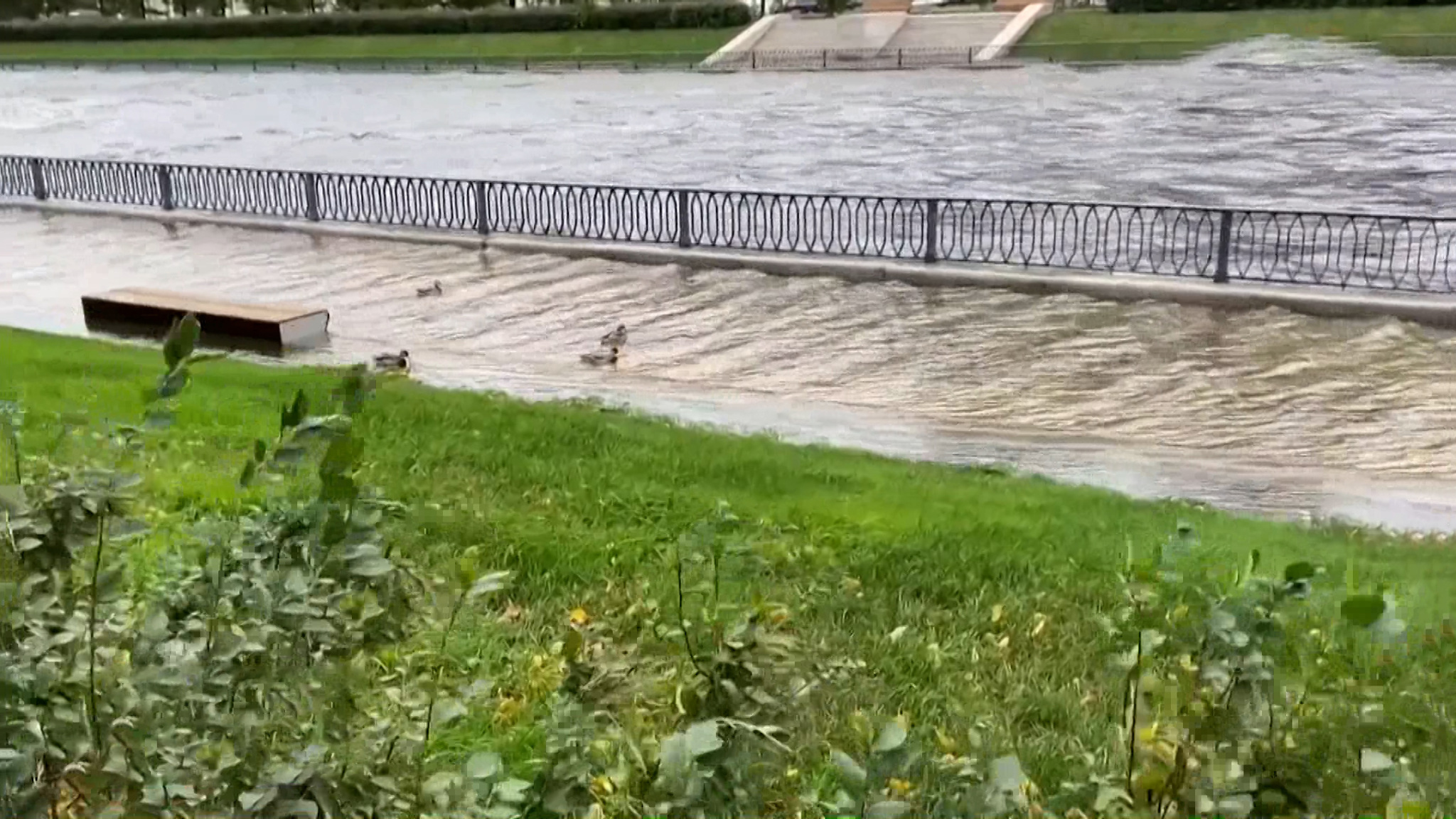 На Петербург и пригороды обрушились ливни и штормовой ветер