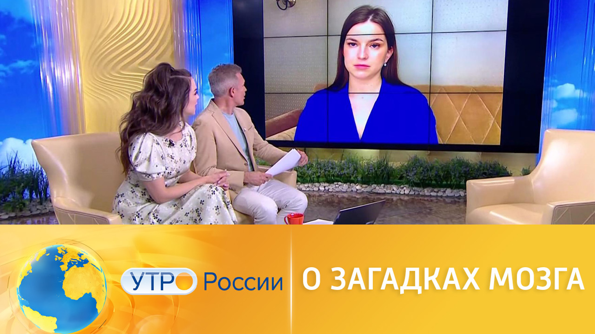 Разгадываем загадки мозга