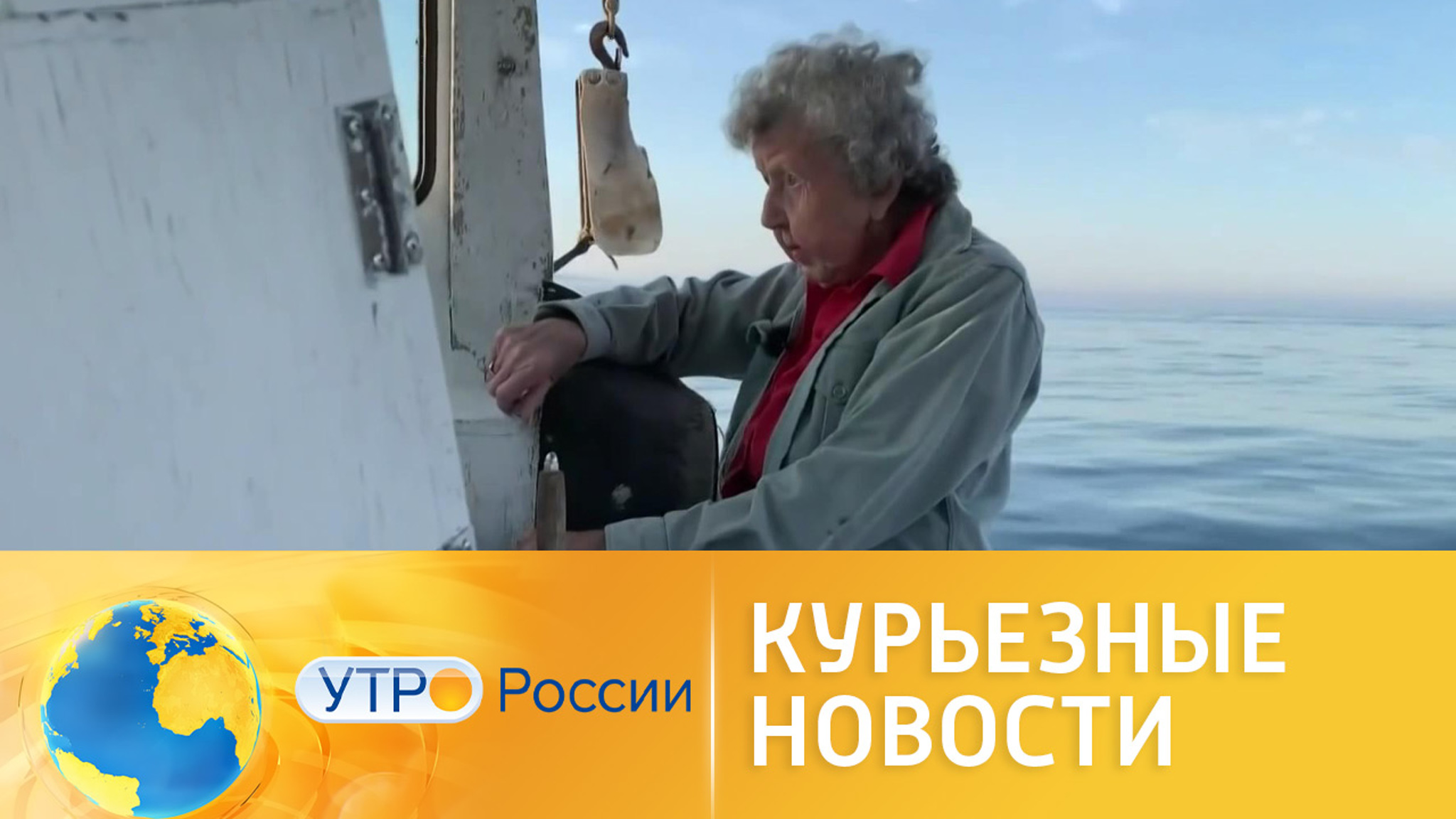 Курьезные новости