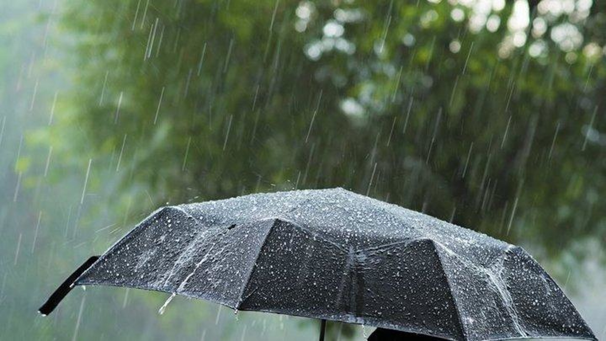 Дожди подтопили улицы в Новороссийске и Анапе