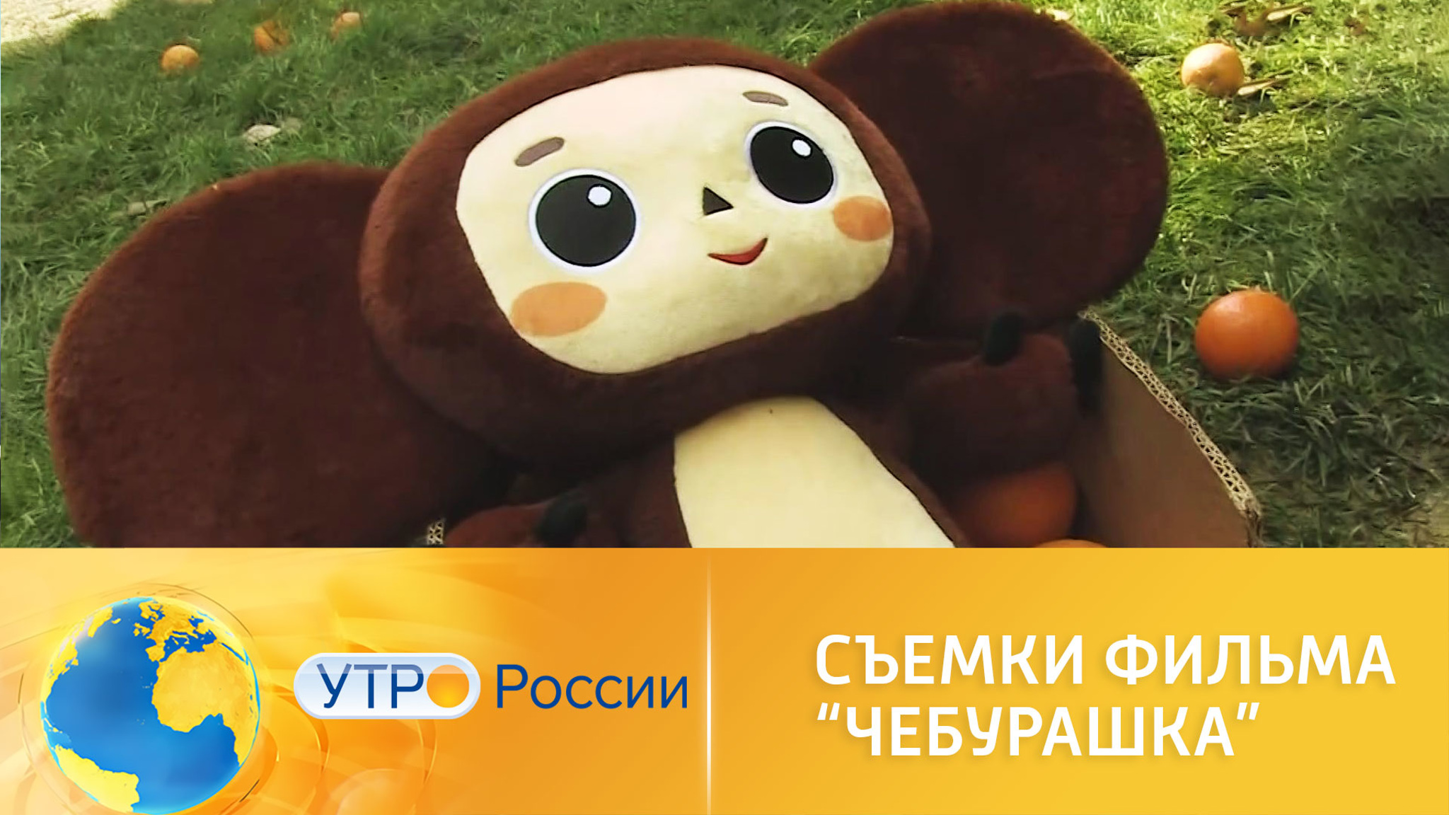 В Сочи начались съемки фильма "Чебурашка"