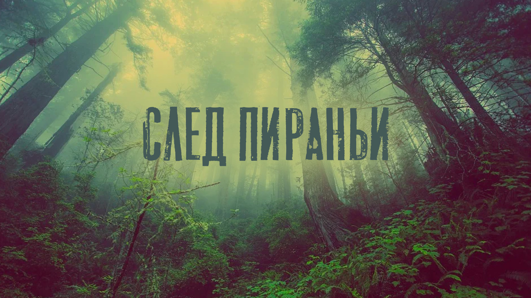 След пираньи