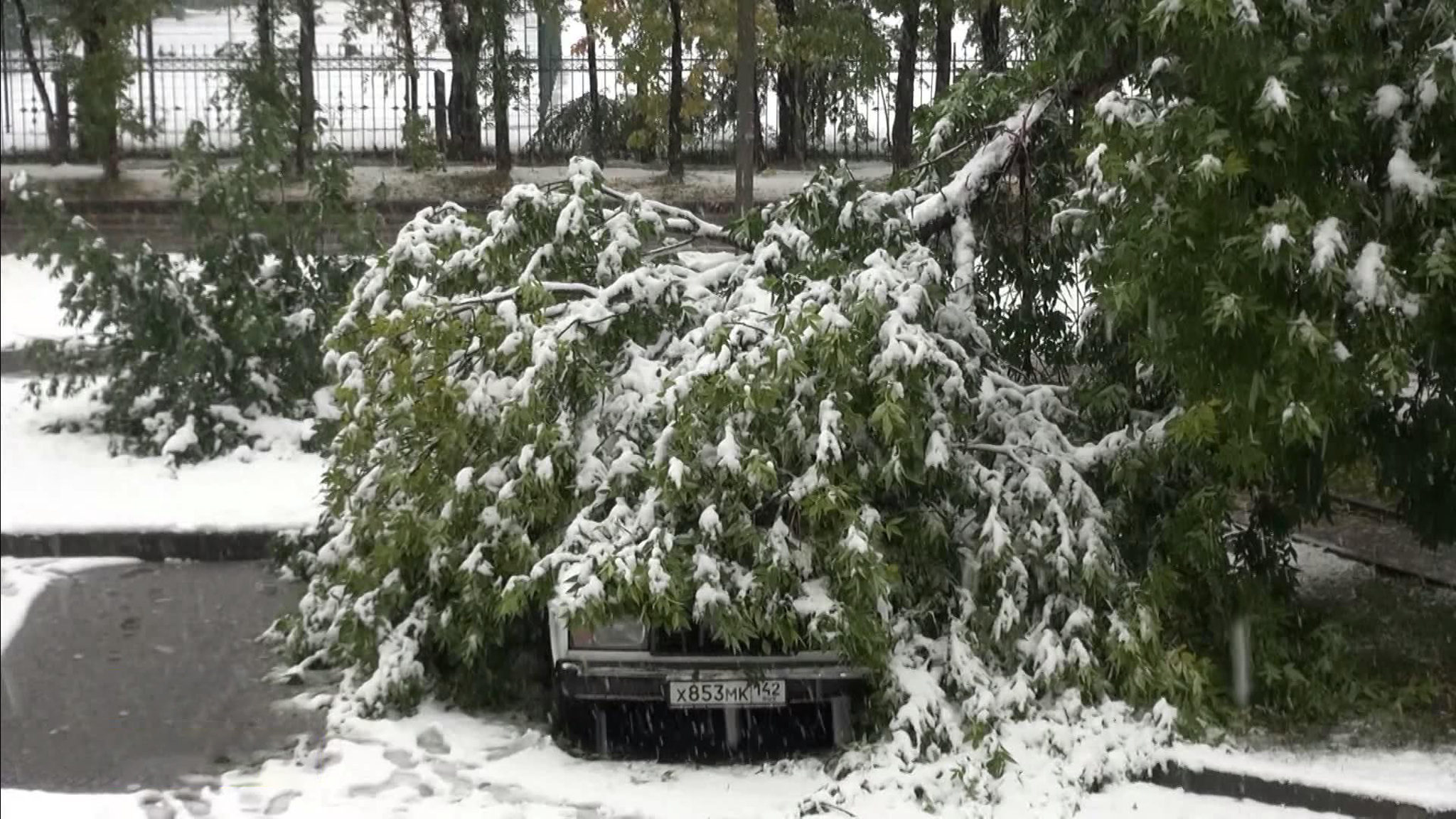 Золотая осень в Сибири раньше времени сменилась зимой