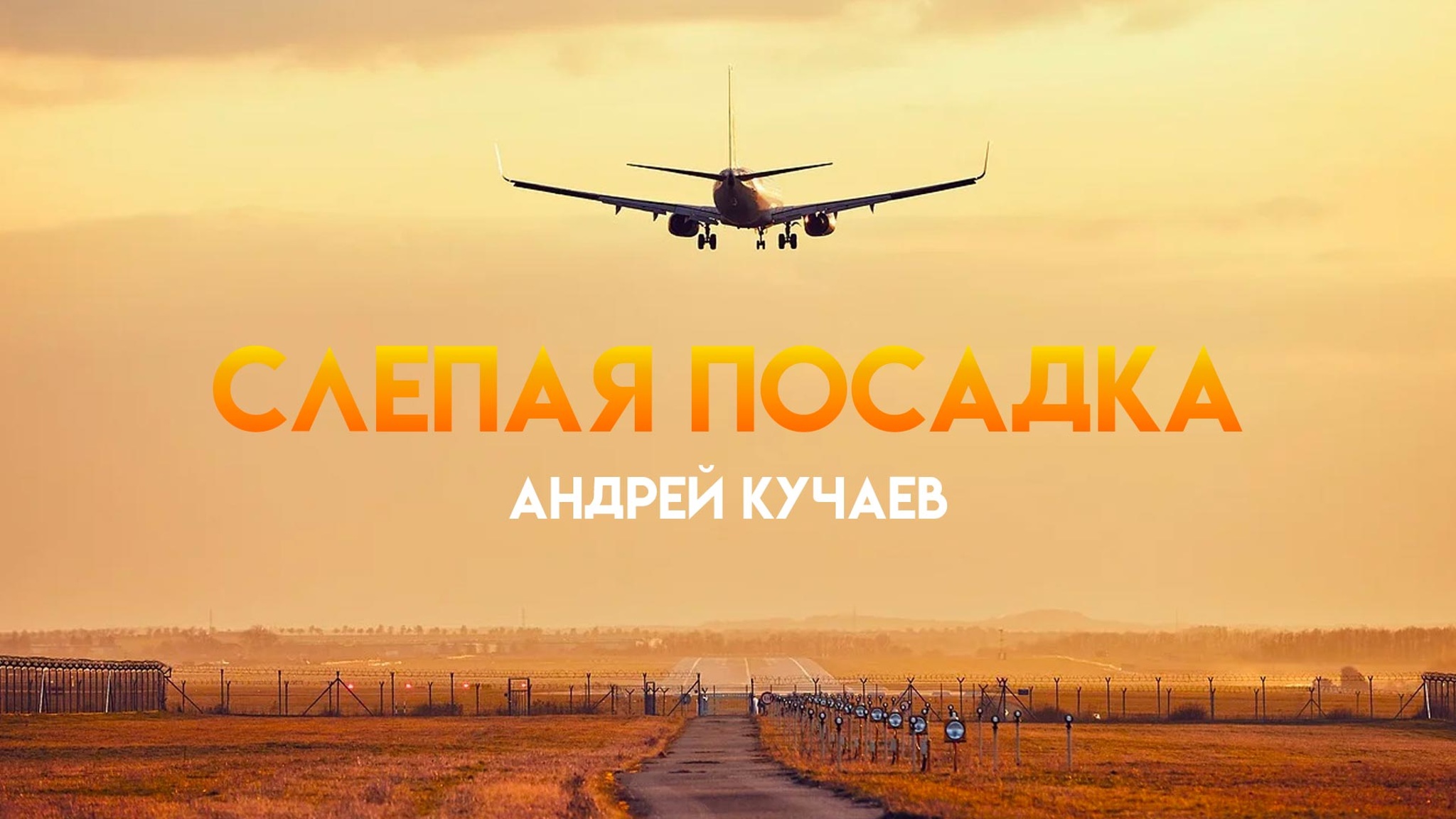 Андрей Кучаев. Слепая посадка