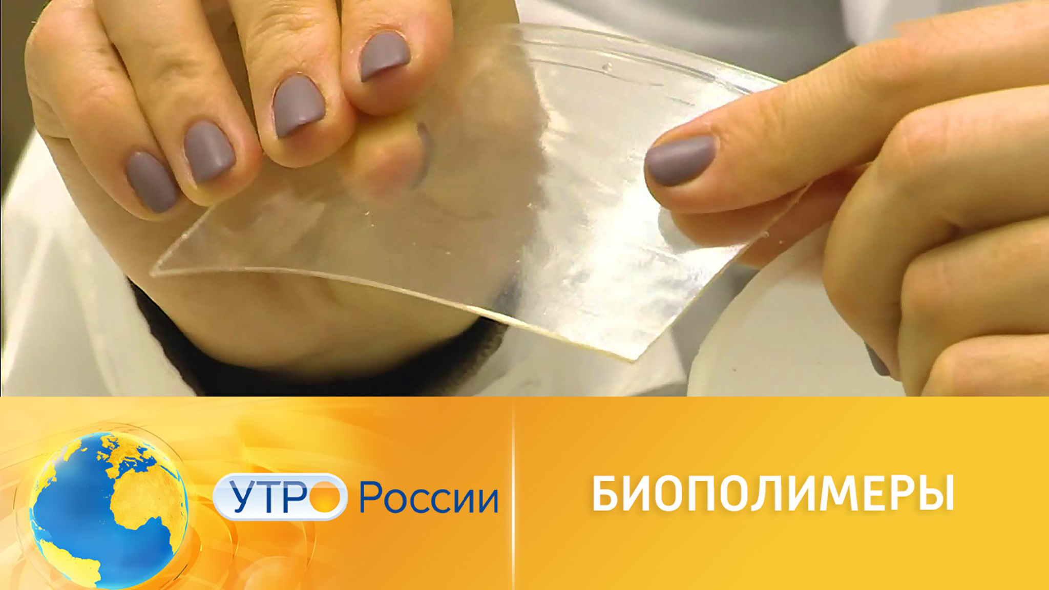 Биополимеры и композит из крапивы: разработки российских ученых