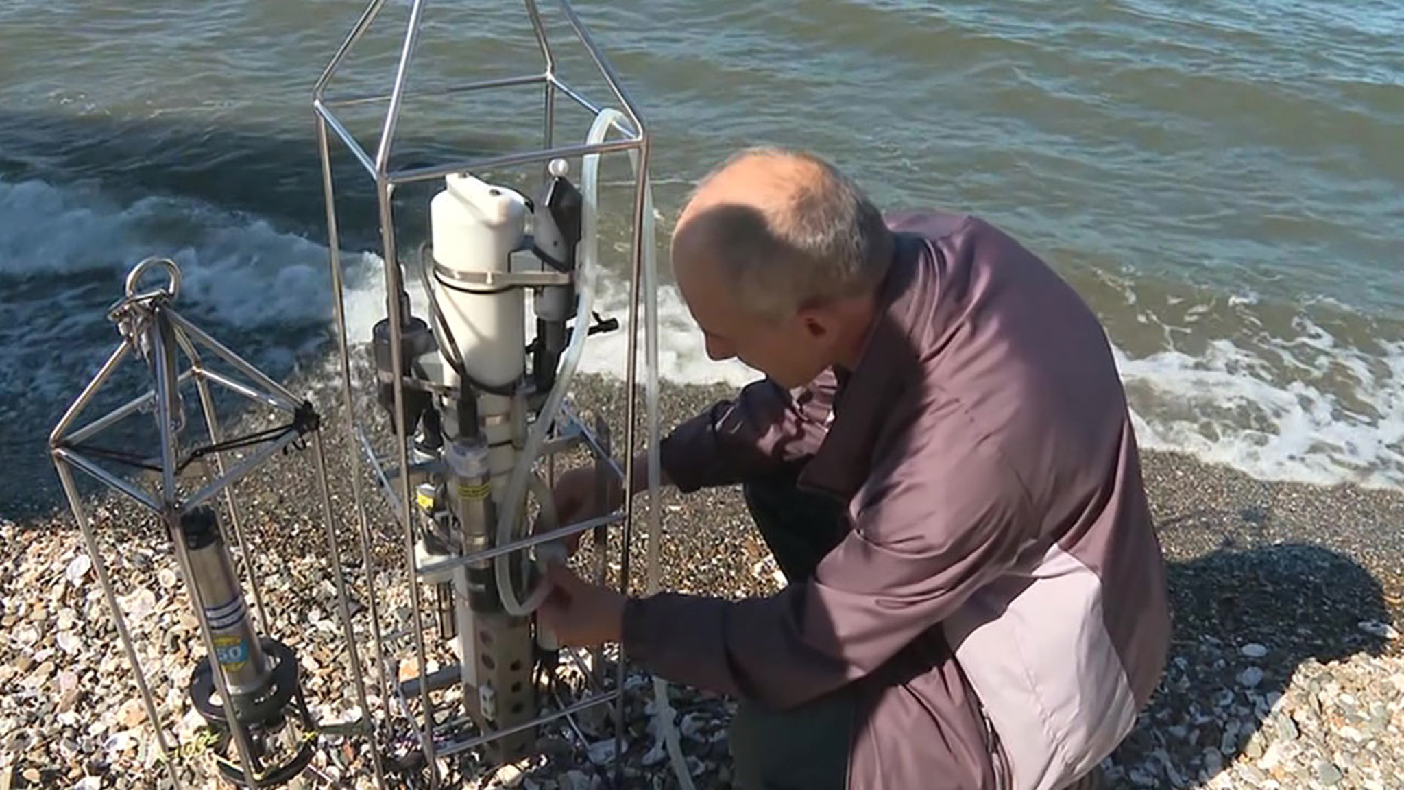 Побережье Владивостока атаковали токсичные водоросли