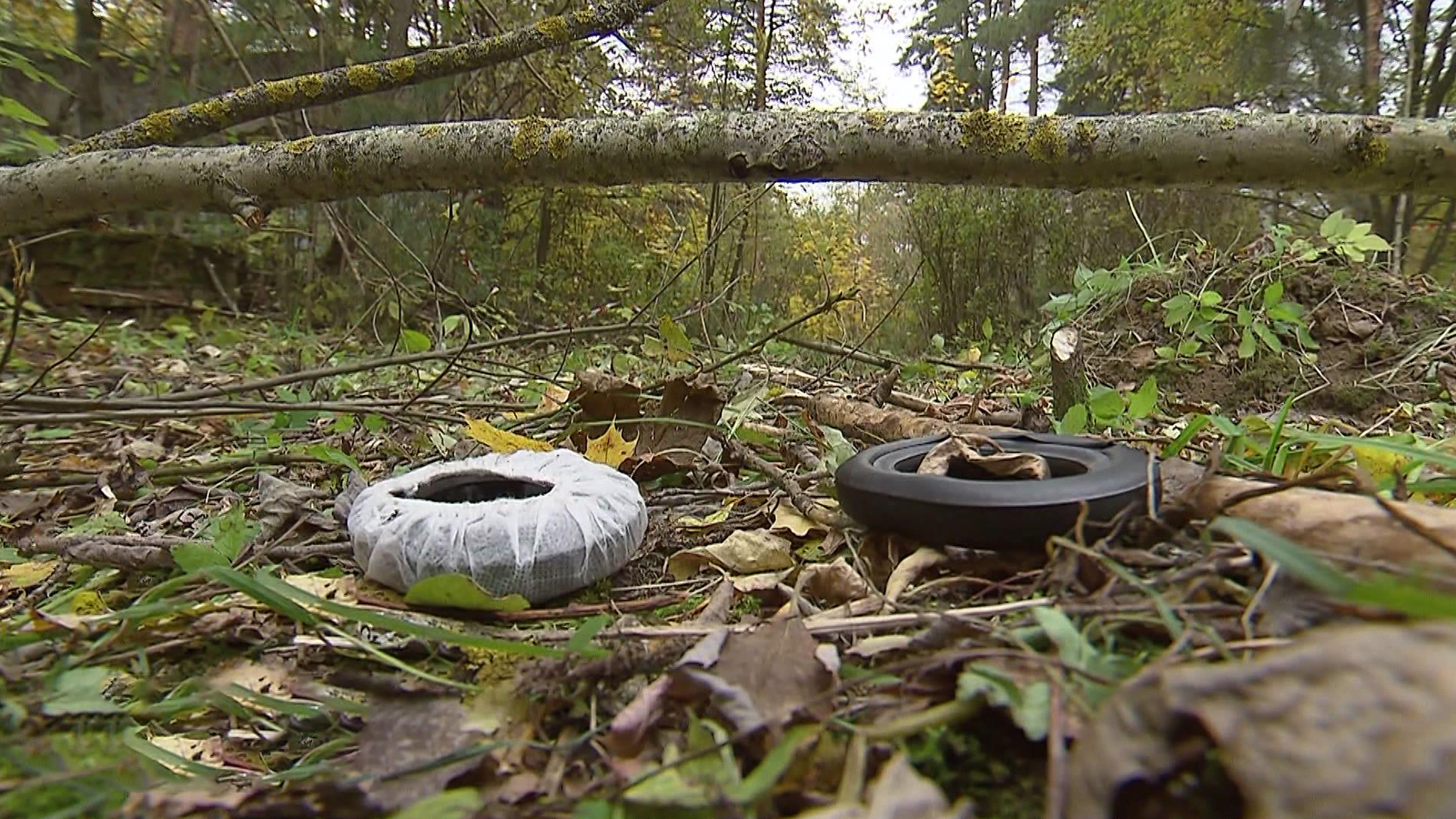 Авария вертолета в Лыткарине: задержана продавец воздушных экскурсий