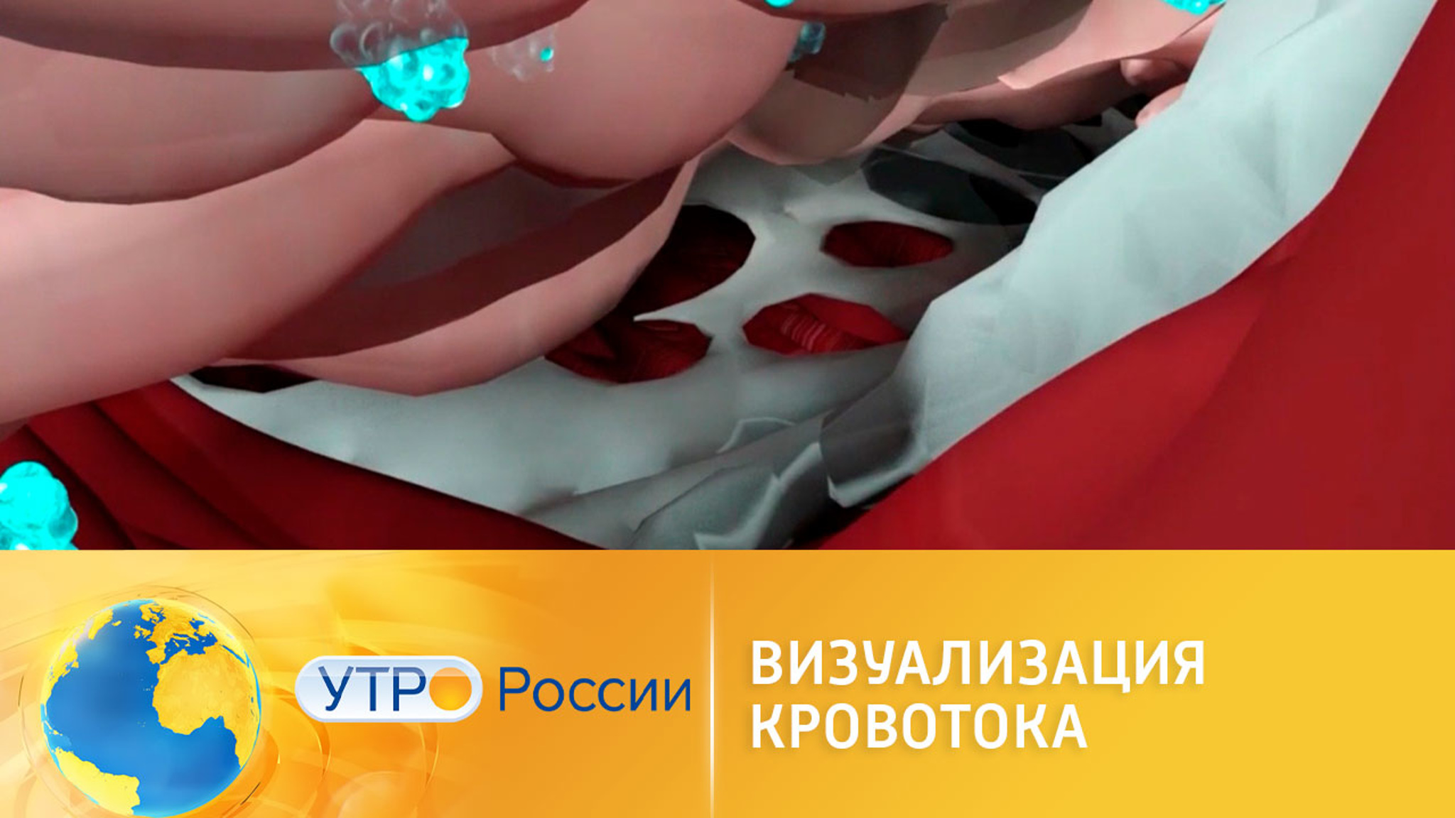 Визуализация кровотока: новая разработка Сколтеха