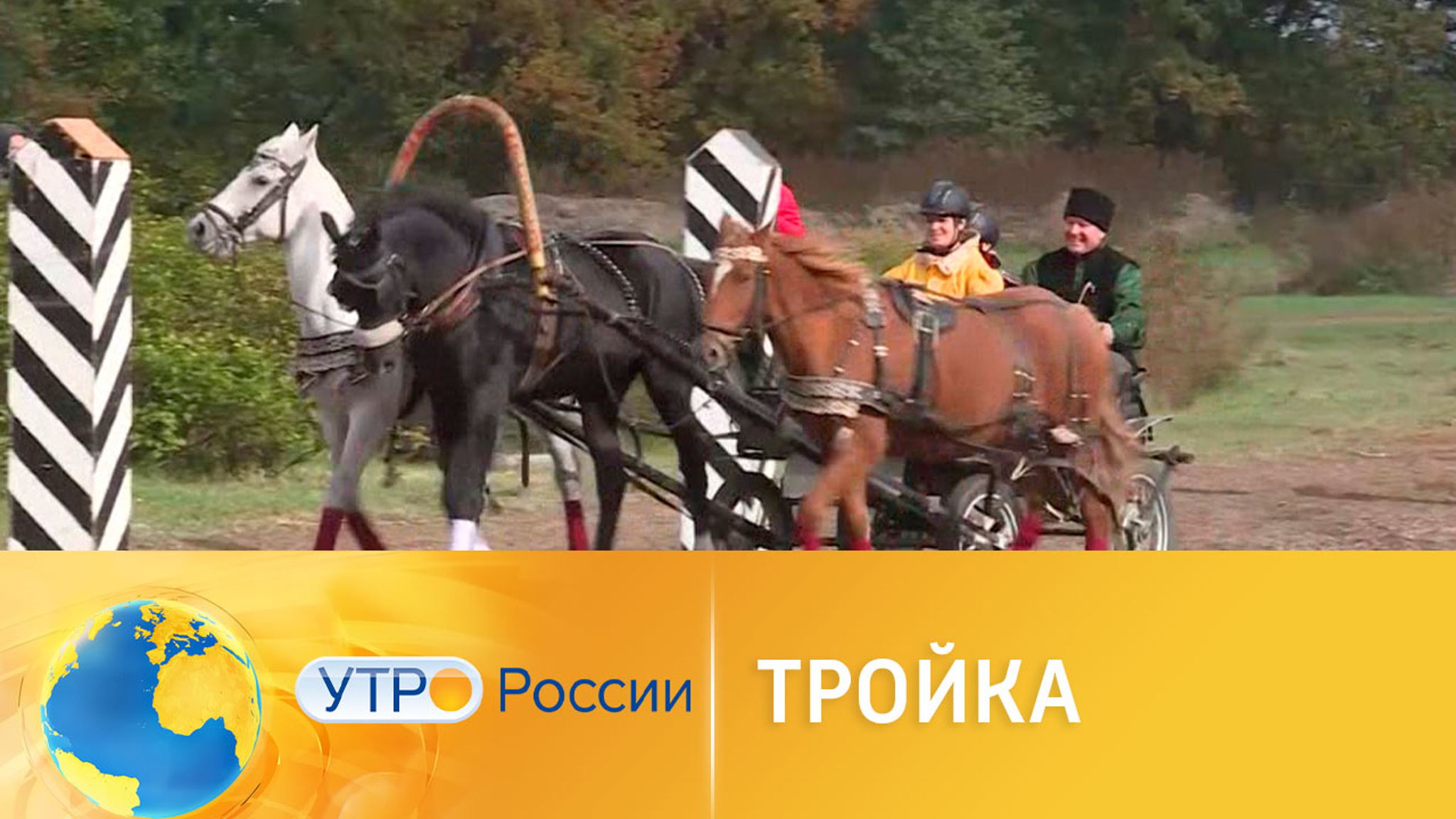 Во Владимирской области прошел турнир русской тройки